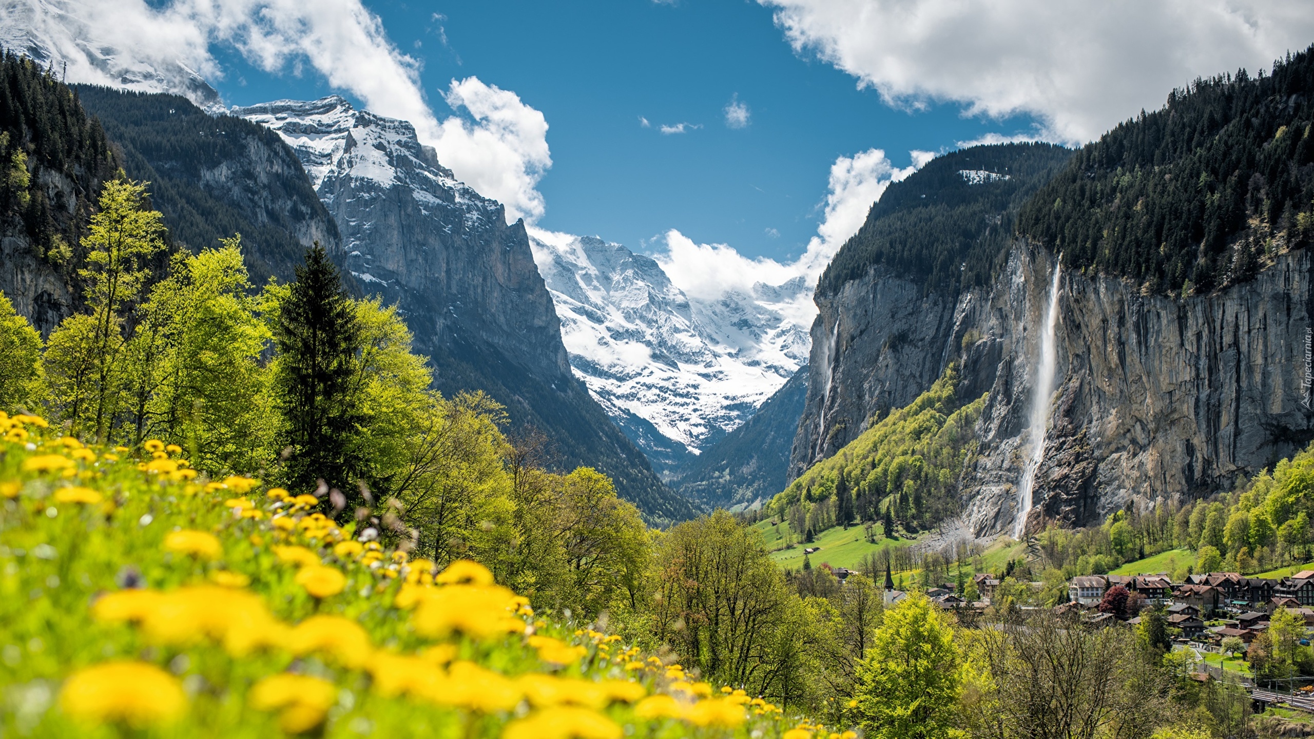 Góry, Alpy, Kwiaty, Drzewa, Chmury, Domy, Dolina Lauterbrunnental, Wodospad, Staubbachfall, Lauterbrunnen, Kanton Bern, Szwajcaria