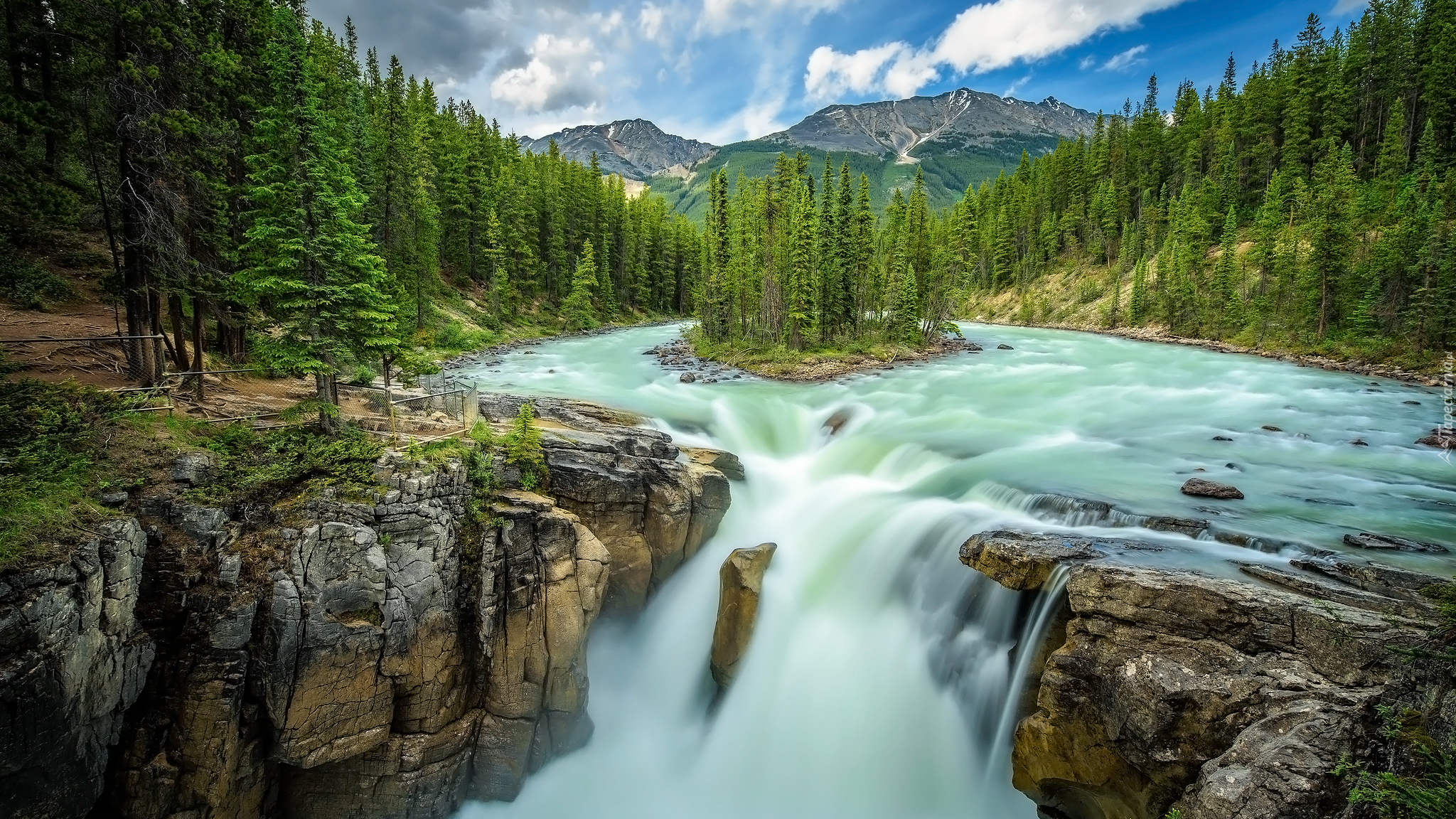 Drzewa, Skały, Wodospad, Sunwapta Falls, Rzeka, Sunwapta, Park Narodowy Jasper, Alberta, Kanada