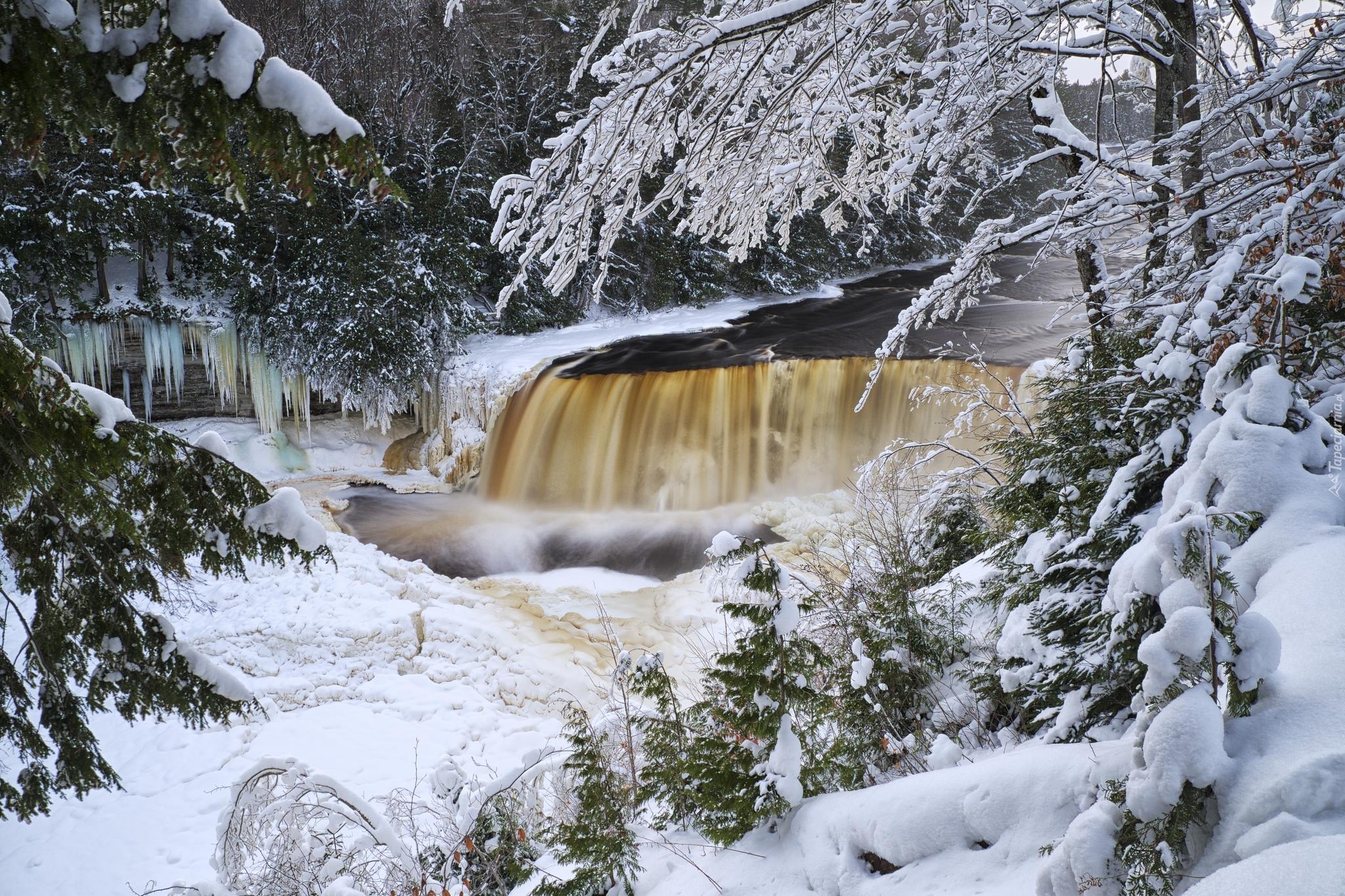 Zima, Wodospad, Tahquamenon Falls, Drzewa, Śnieg, Sople, Hrabstwo Luce, Michigan, Stany Zjednoczone