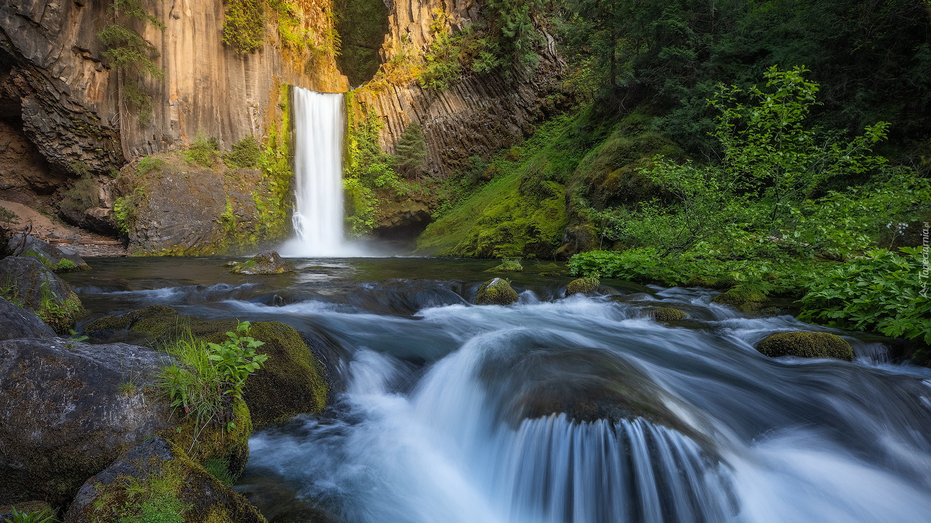 Wodospad, Toketee Falls, Rzeka, North Umpqua River, Skały, Drzewa, Stan Oregon, Stany Zjednoczone