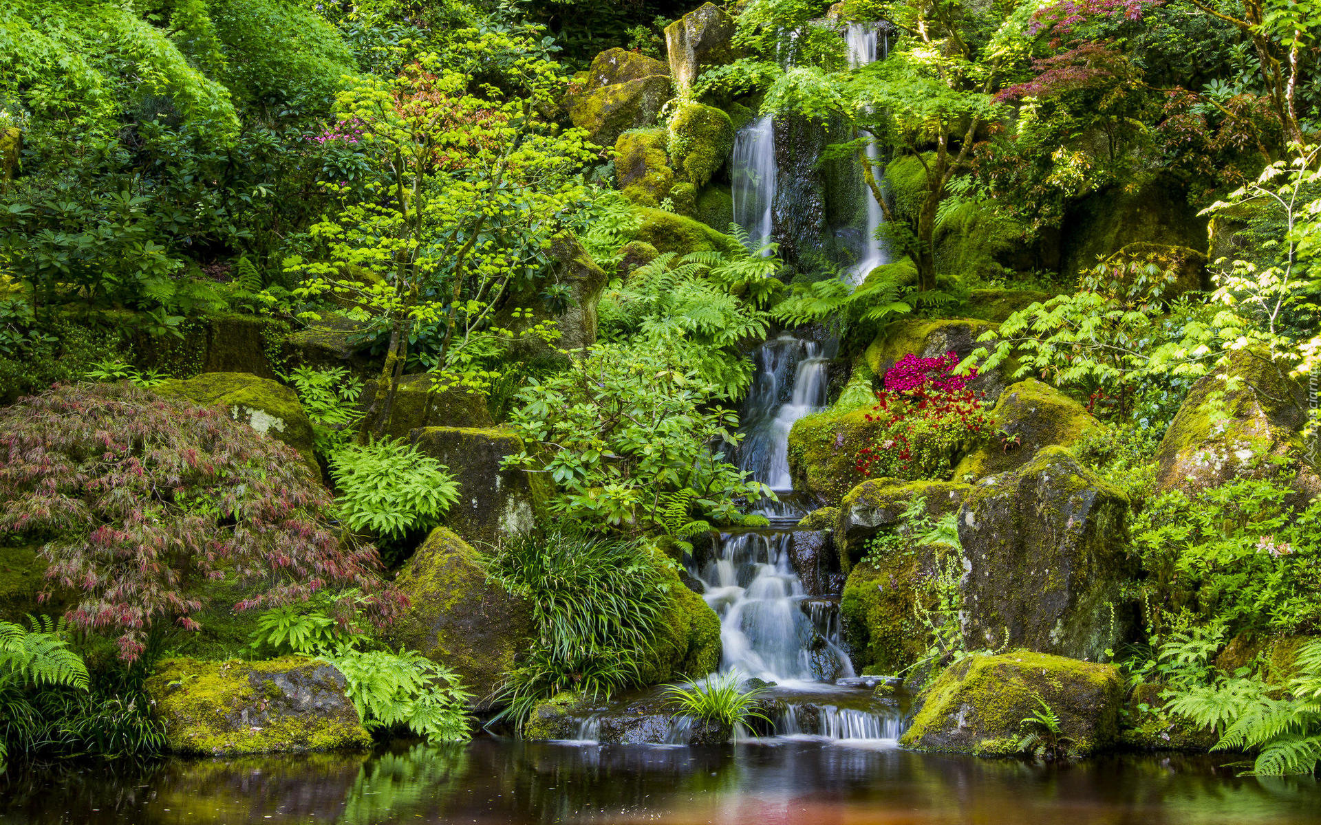 Ogród japoński, Drzewa, Krzewy, Roślinność, Wodospad, Skały, Portland Japanese Garden, Portland, Stan Oregon, Stany Zjednoczone