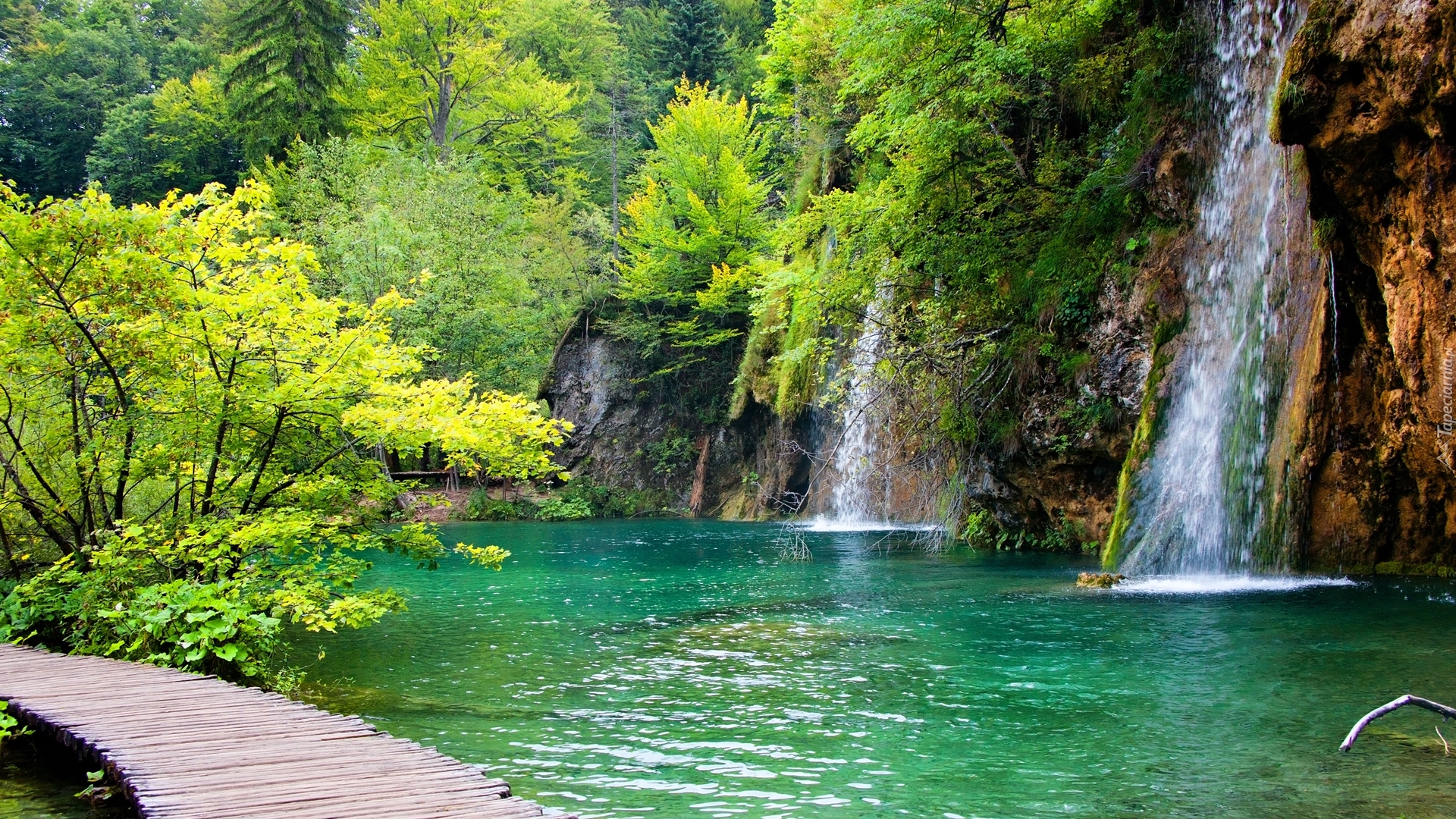 Chorwacja, Jezioro, Wodospady, Pomost, Drzewa, Roślinność, Park Narodowy Jezior Plitwickich