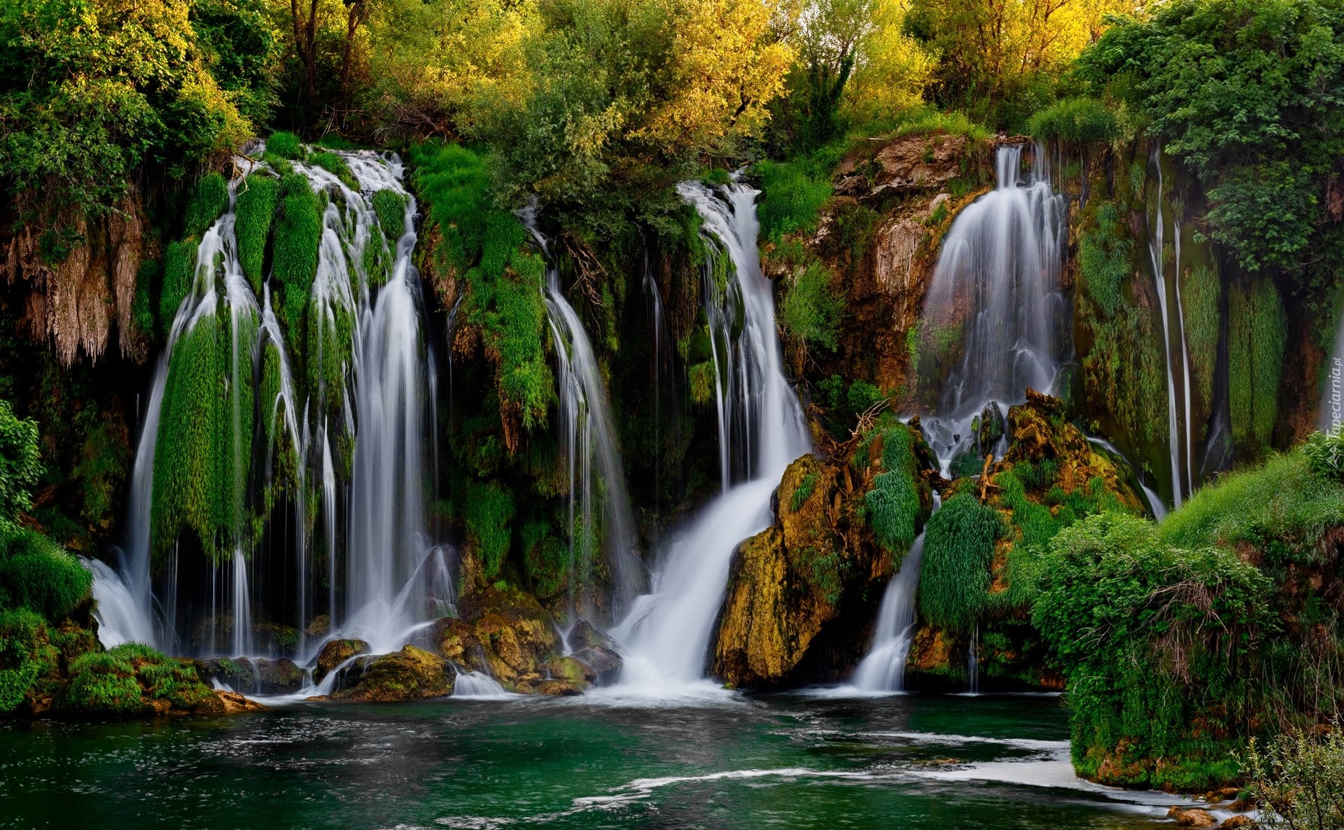 Wodospady Kravica, Skały, Roślinność, Bośnia i Hercegowina