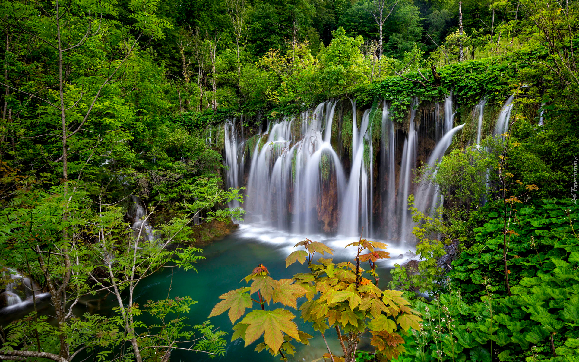Park Narodowy Jezior Plitwickich, Wodospad, Lasy, Drzewa, Chorwacja