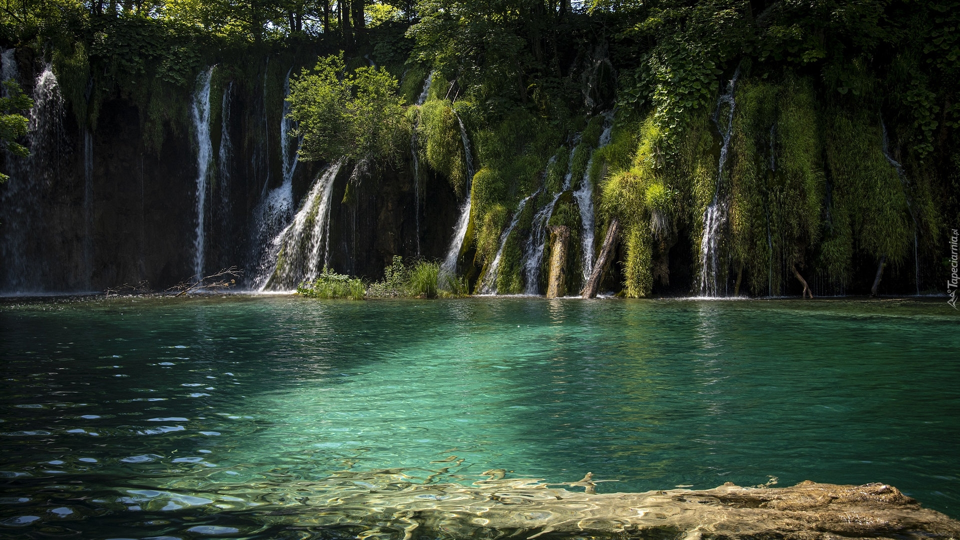 Chorwacja, Jezioro, Drzewa, Wodospady, Roślinność, Park Narodowy Jezior Plitwickich