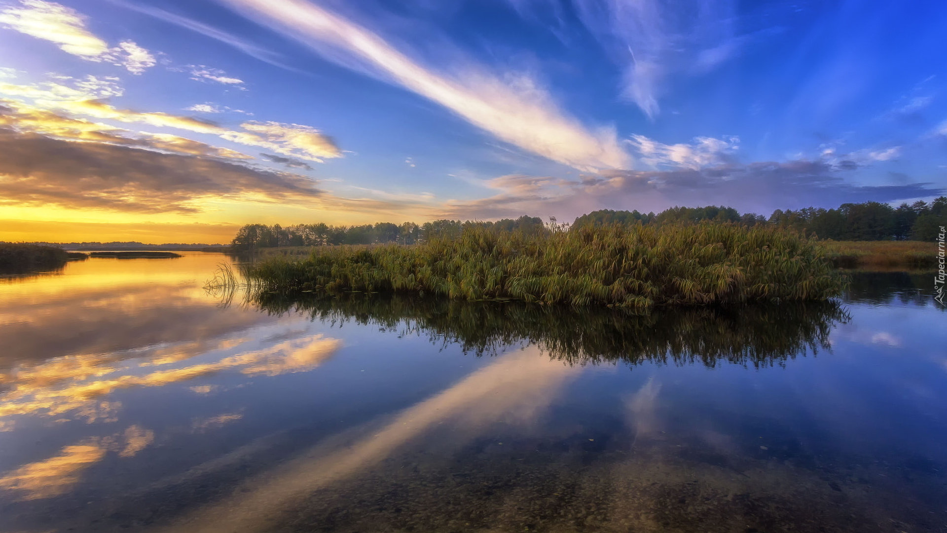 Rzeka Woroneż, Trawy, Chmury, Wschód słońca, Miejscowość Chertovitsy, Rosja