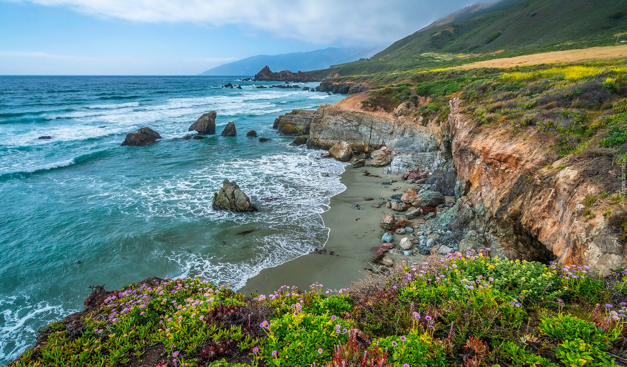 Morze, Wybrzeże, Skały, Kamienie, Rośliny, Kwiaty, Region Big Sur, Kalifornia, Stany Zjednoczone
