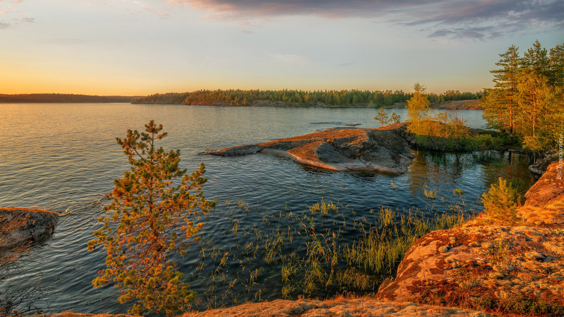 Jesień, Drzewa, Zachód słońca, Jezioro Ładoga, Karelia, Rosja