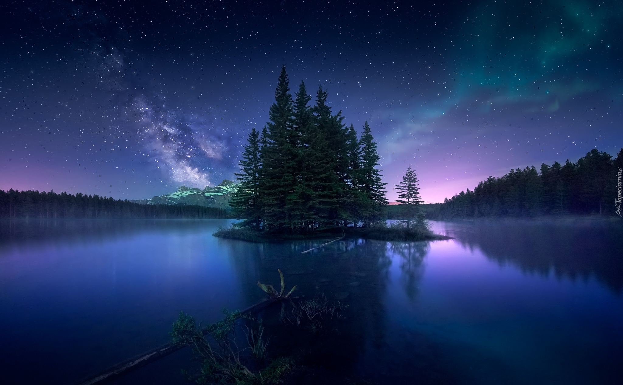 Drzewa, Las, Gwiazdy, Zorza polarna, Noc, Niebo, Jezioro, Two Jack Lake, Park Narodowy Banff, Alberta, Kanada