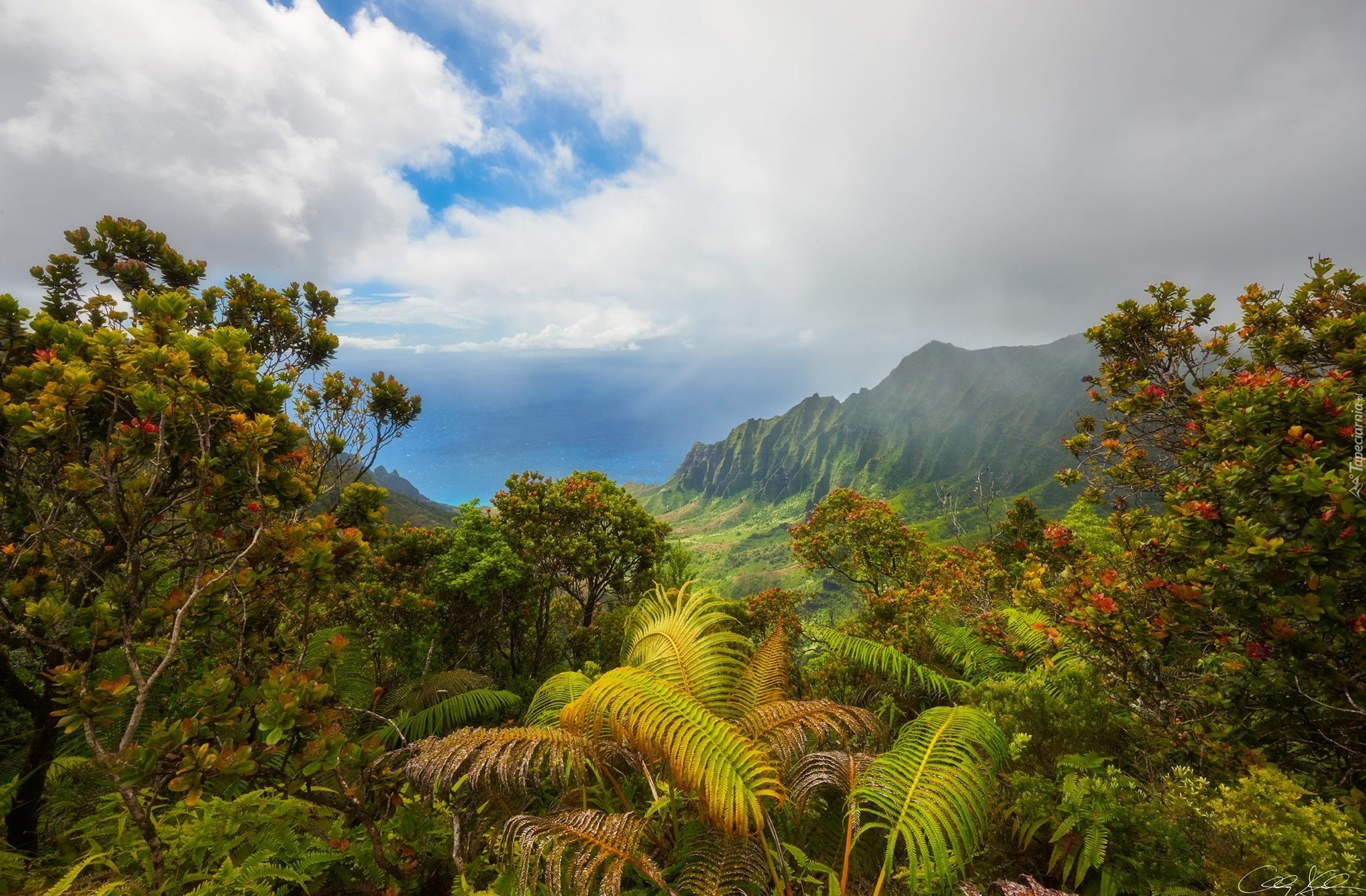 Stany Zjednoczone, Hawaje, Wyspa Kauai, Wzgórza, Chmury, Roślinność