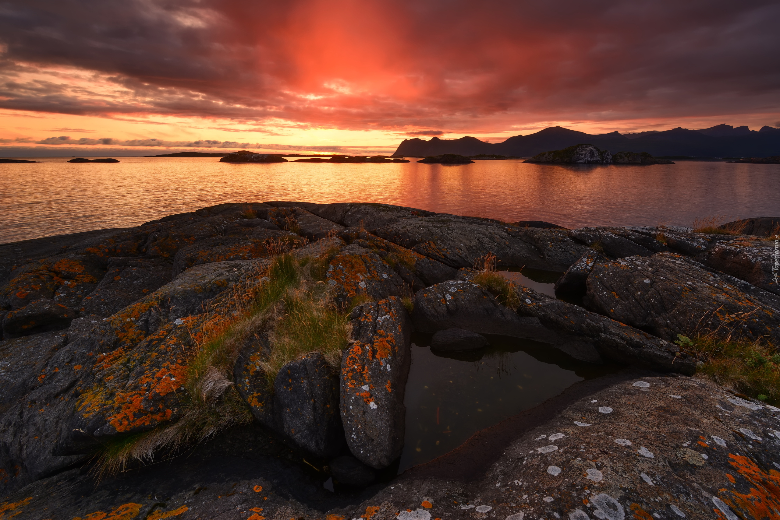 Zachód słońca, Morze, Skały, Rośliny, Wyspa Senja, Norwegia