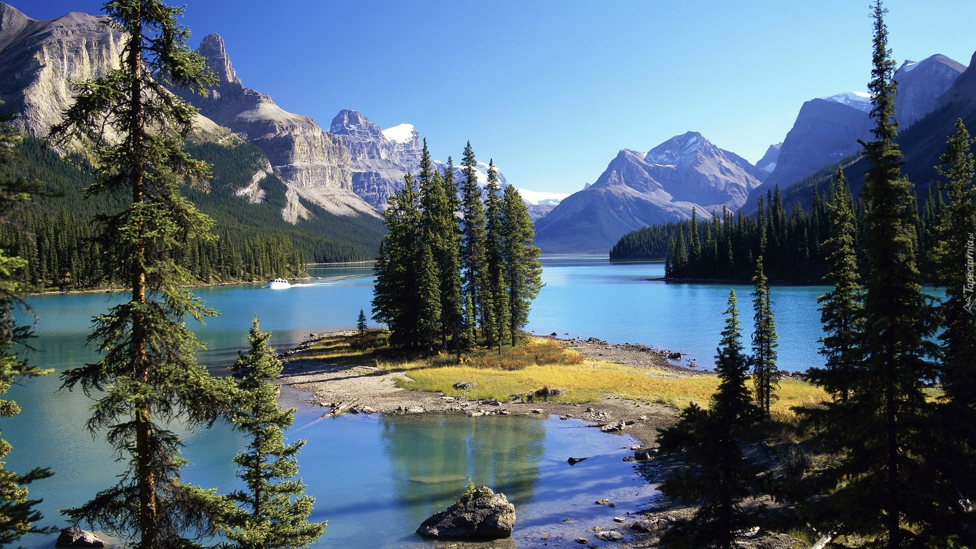 Kanada, Park Narodowy Jasper, Góry, Jezioro Maligne Lake, Wyspa Spirit Island, Drzewa