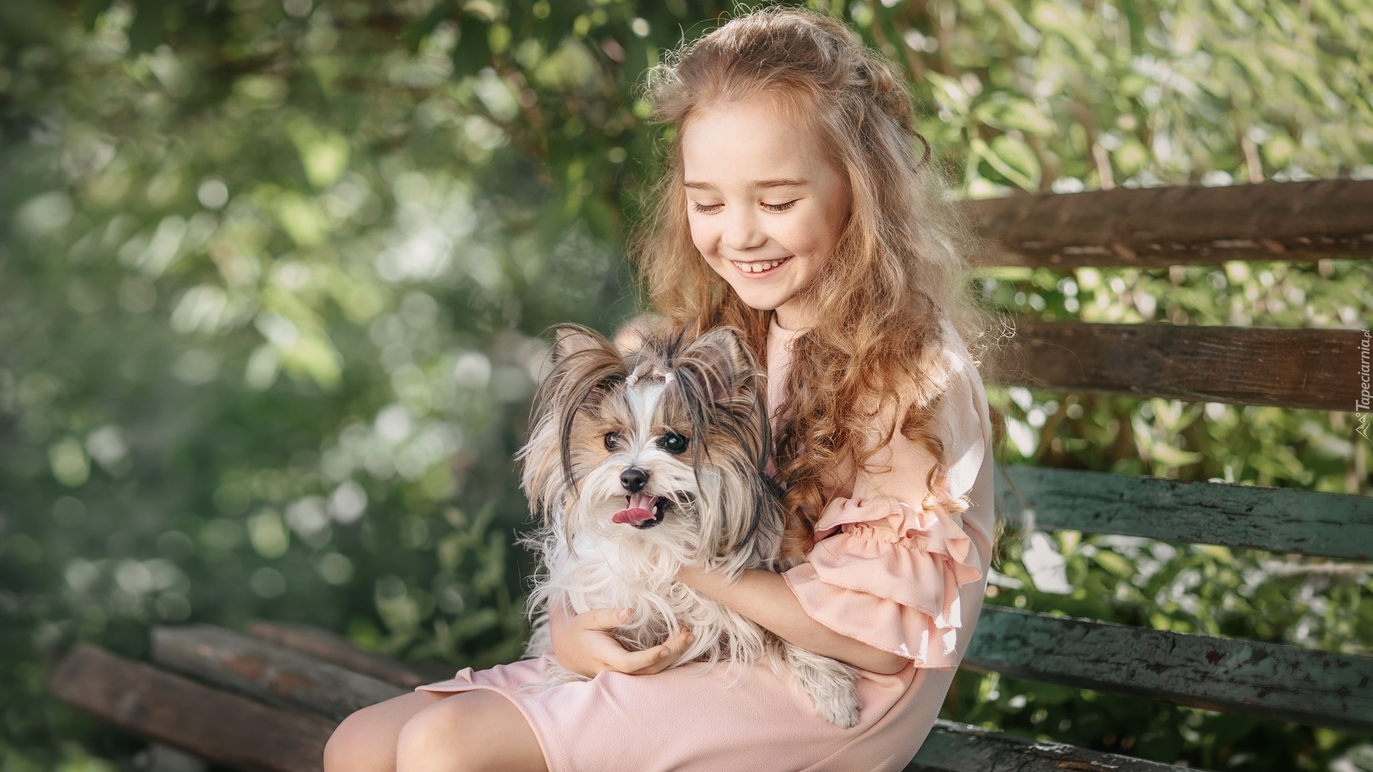 Dziewczynka, Pies, Yorkshire terrier