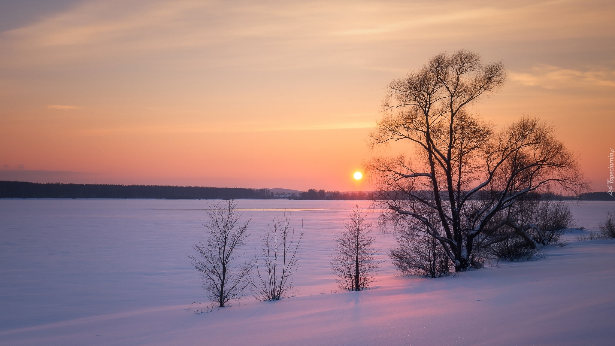Zima, Rzeka Wołga, Drzewa, Zachód słońca, Miejscowość Kostroma, Rosja