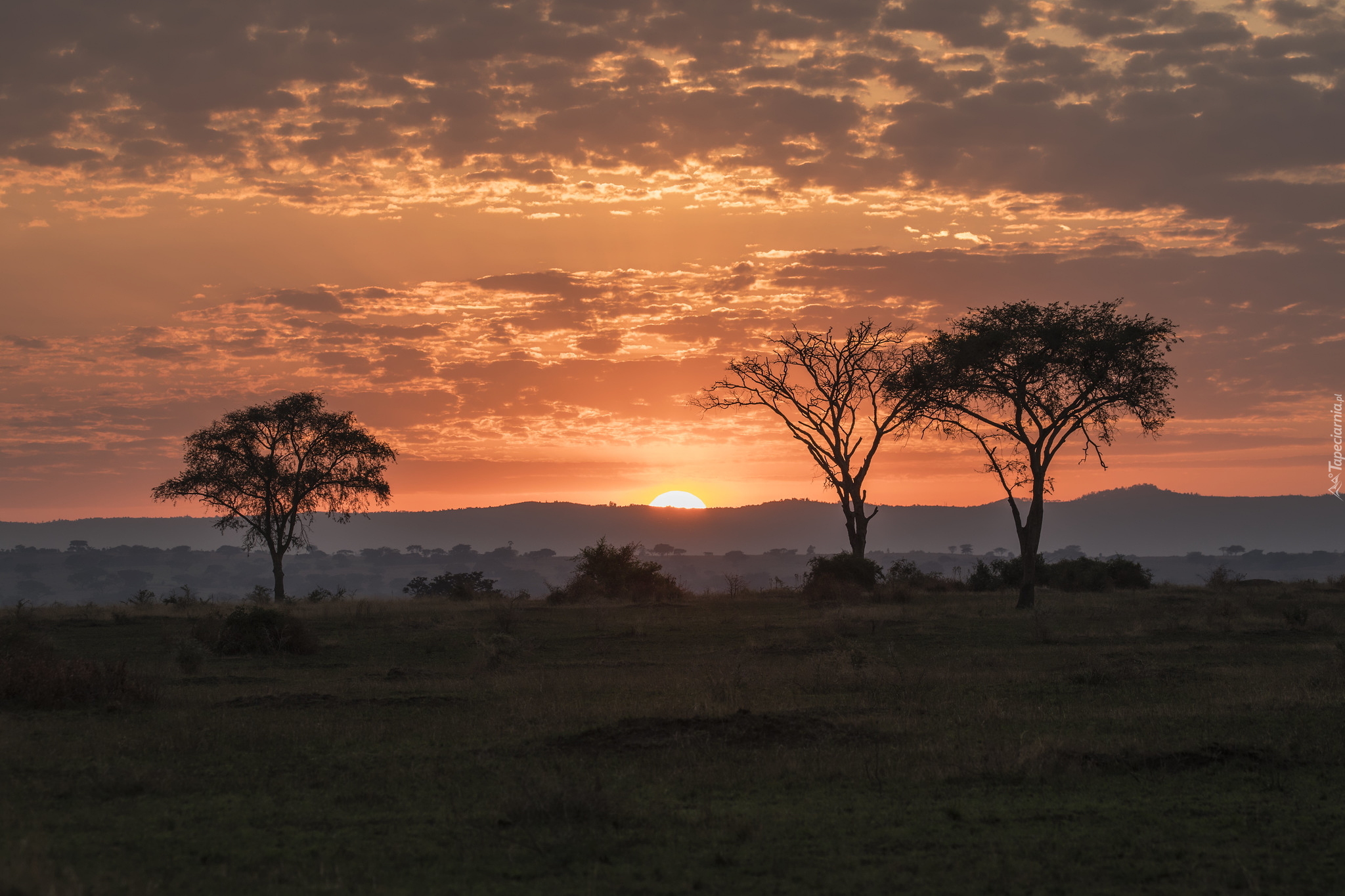 Zachód słońca, Chmury, Drzewa, Kisoro, Uganda, Afryka