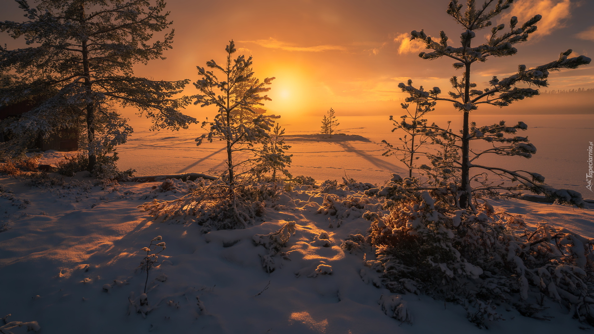 Zachód słońca, Zima, Śnieg, Zaśnieżone, Jezioro, Drzewa, Ringerike, Norwegia