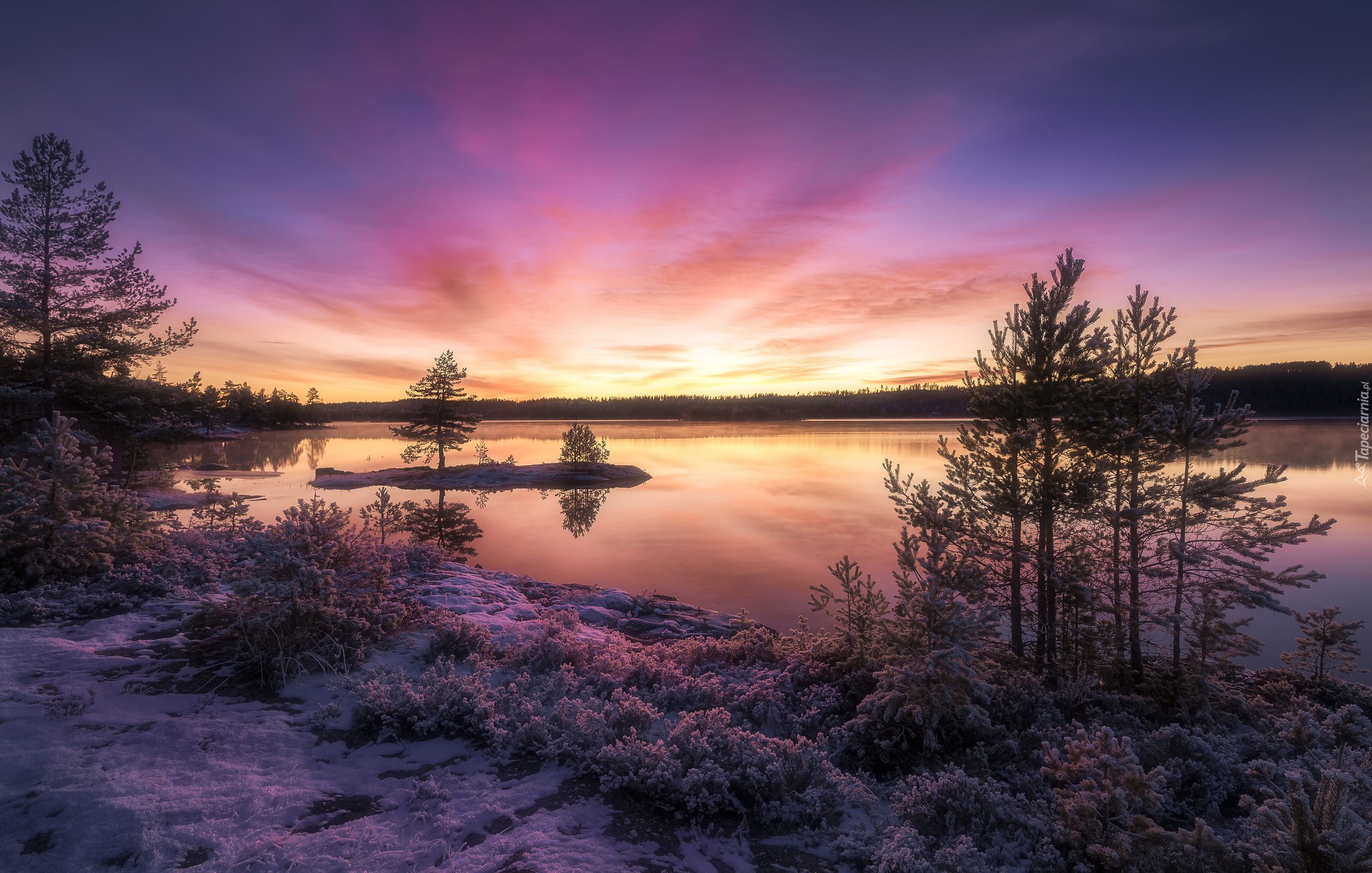 Norwegia, Ringerike, Zima, Zachód słońca, Jezioro, Drzewa