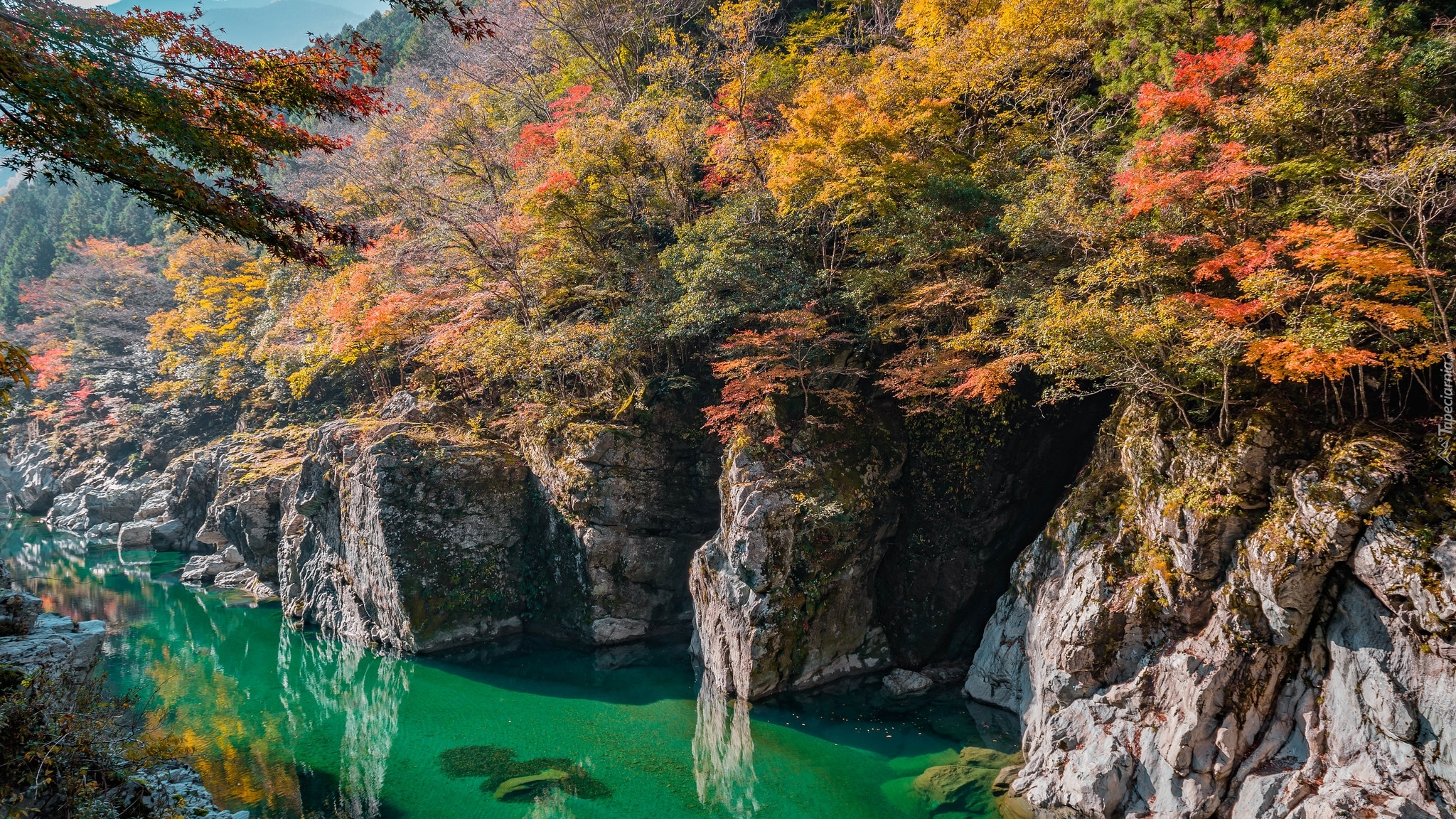 Jesień, Skały, Rzeka Iya, Kolorowe, Drzewa, Dolina, Iya Valley, Prefektura Tokushima, Wyspa Sikoku, Japonia