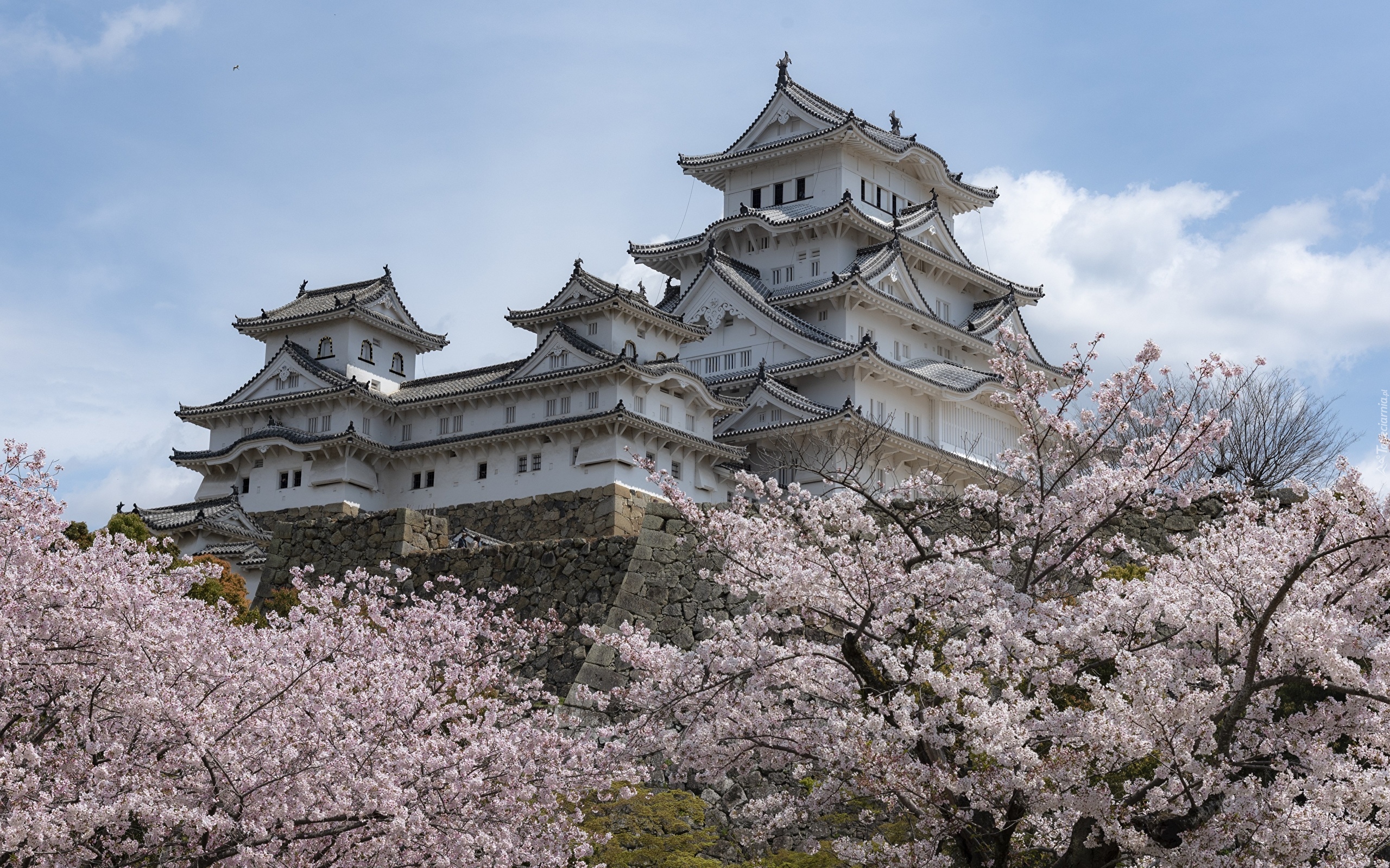 Zamek Himeji, Zamek Białej Czapli, Kwitnące, Drzewa, Miejscowość Himeji, Japonia