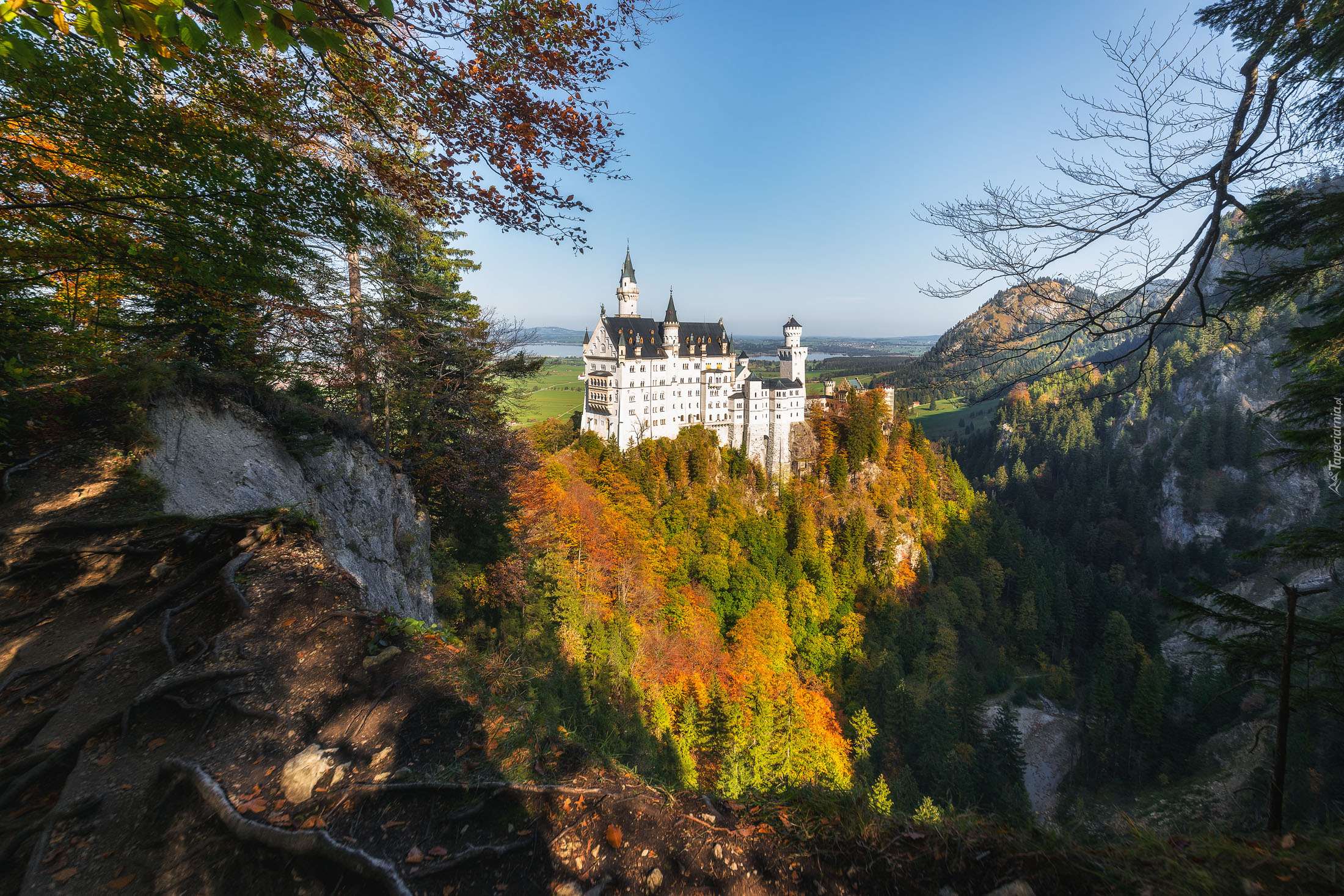 Niemcy, Bawaria, Zamek Neuschwanstein, Skały, Lasy, Drzewa, Jesień