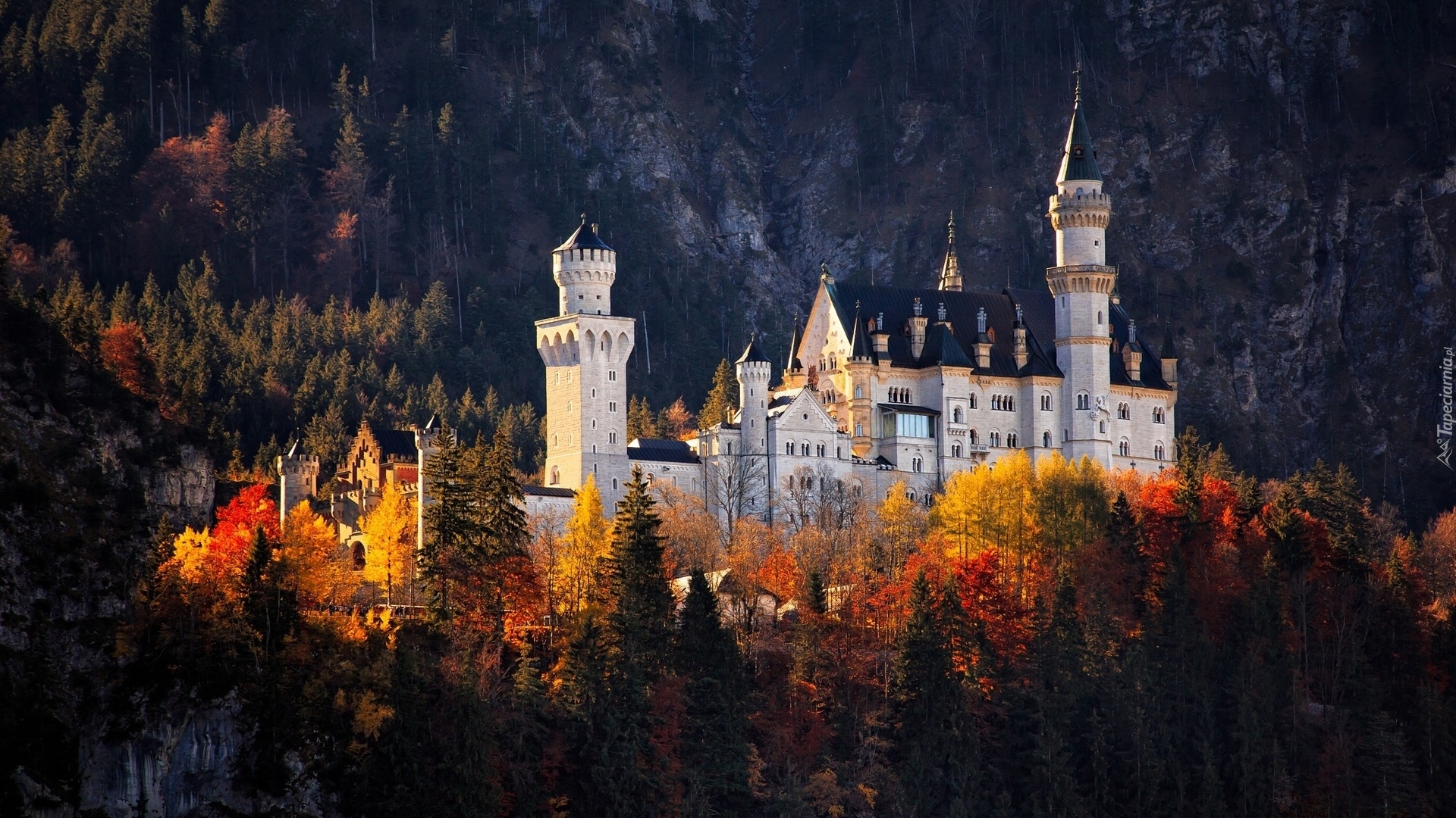 Niemcy, Bawaria, Zamek Neuschwanstein, Drzewa, Jesień