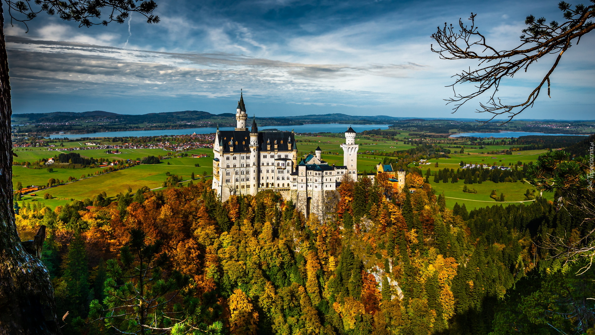 Jesień, Wzgórze, Lasy, Zamek Neuschwanstein, Drzewa, Pola, Bawaria, Niemcy