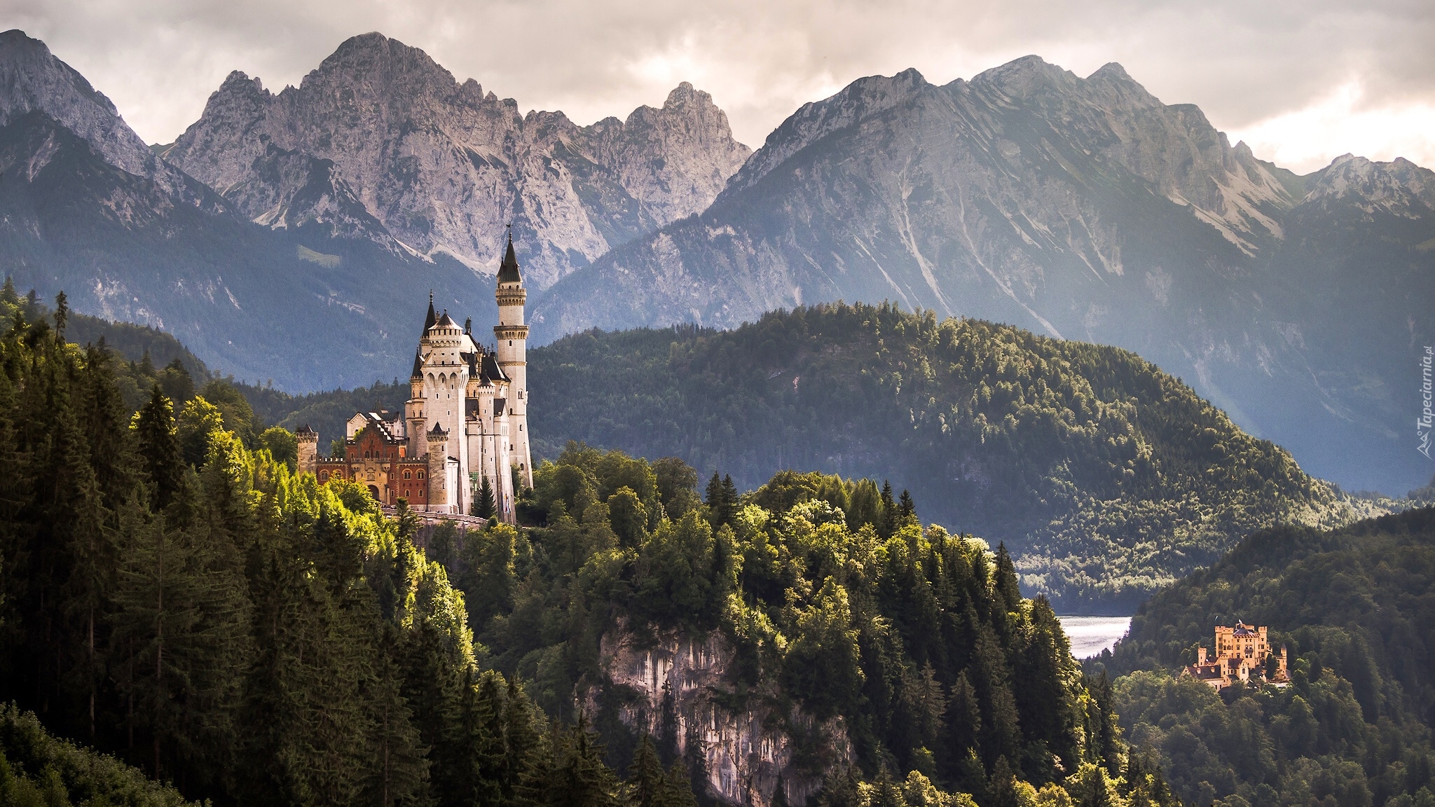 Niemcy, Bawaria, Zamek Neuschwanstein, Góry Alpy, Lasy, Drzewa