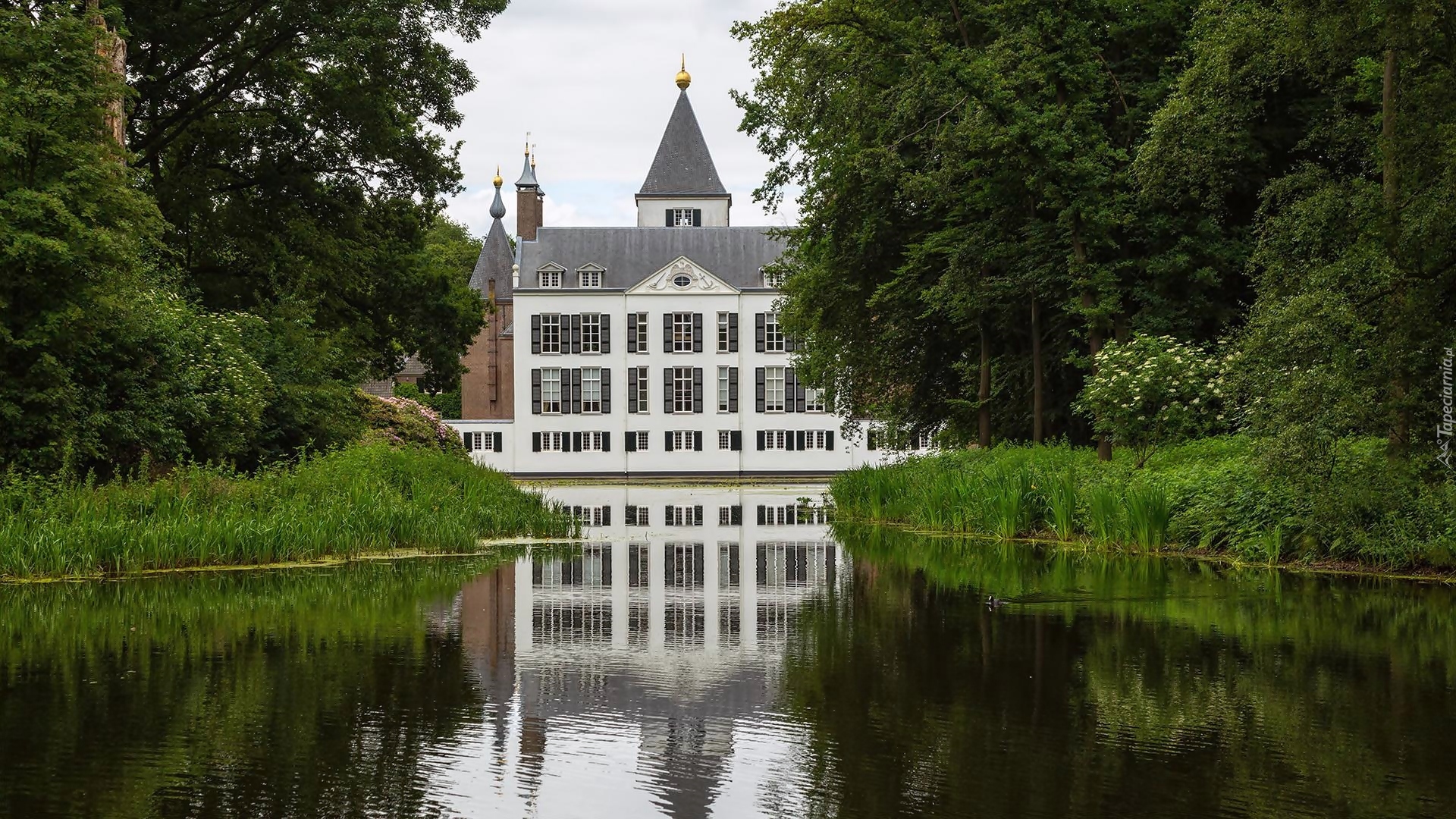 Holandia, Zamek, Castle Renswoude, Staw, Drzewa, Krzewy