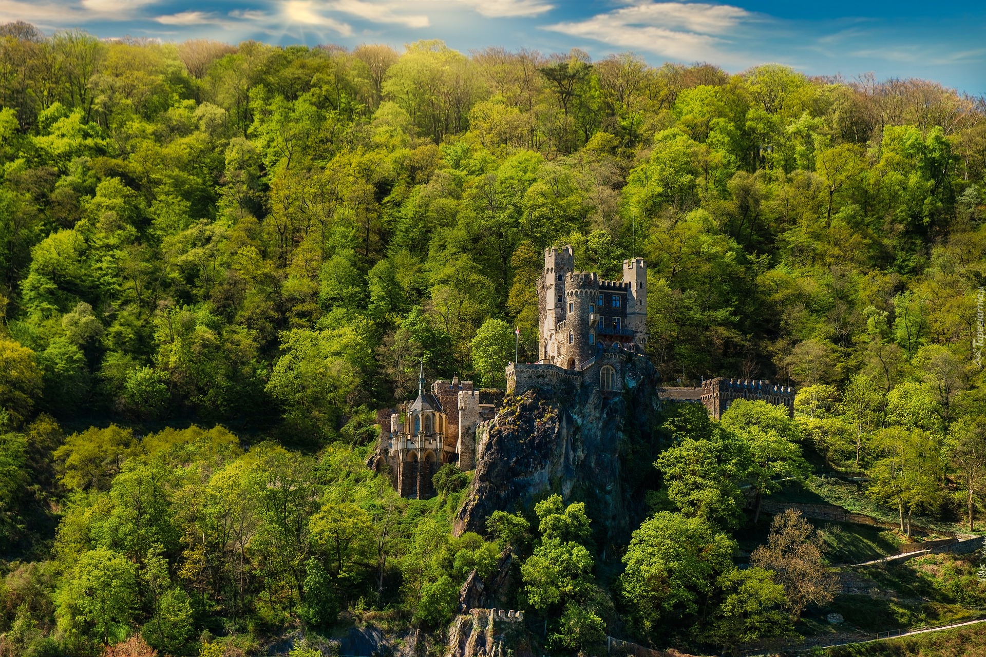 Zamek Rheinstein, Skała, Drzewa, Las, Niemcy