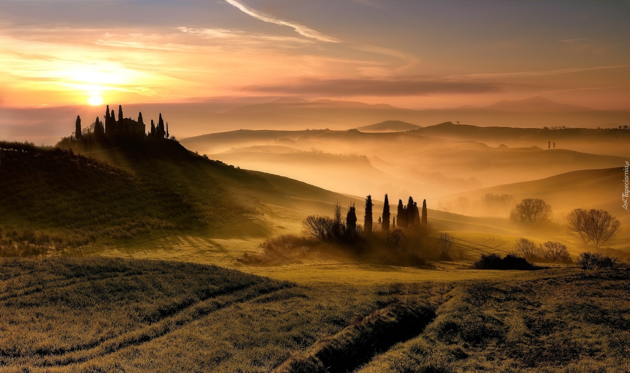 Włochy, Tosaknia, Wzgórza, Mgła, Wschód słońca, Drzewa