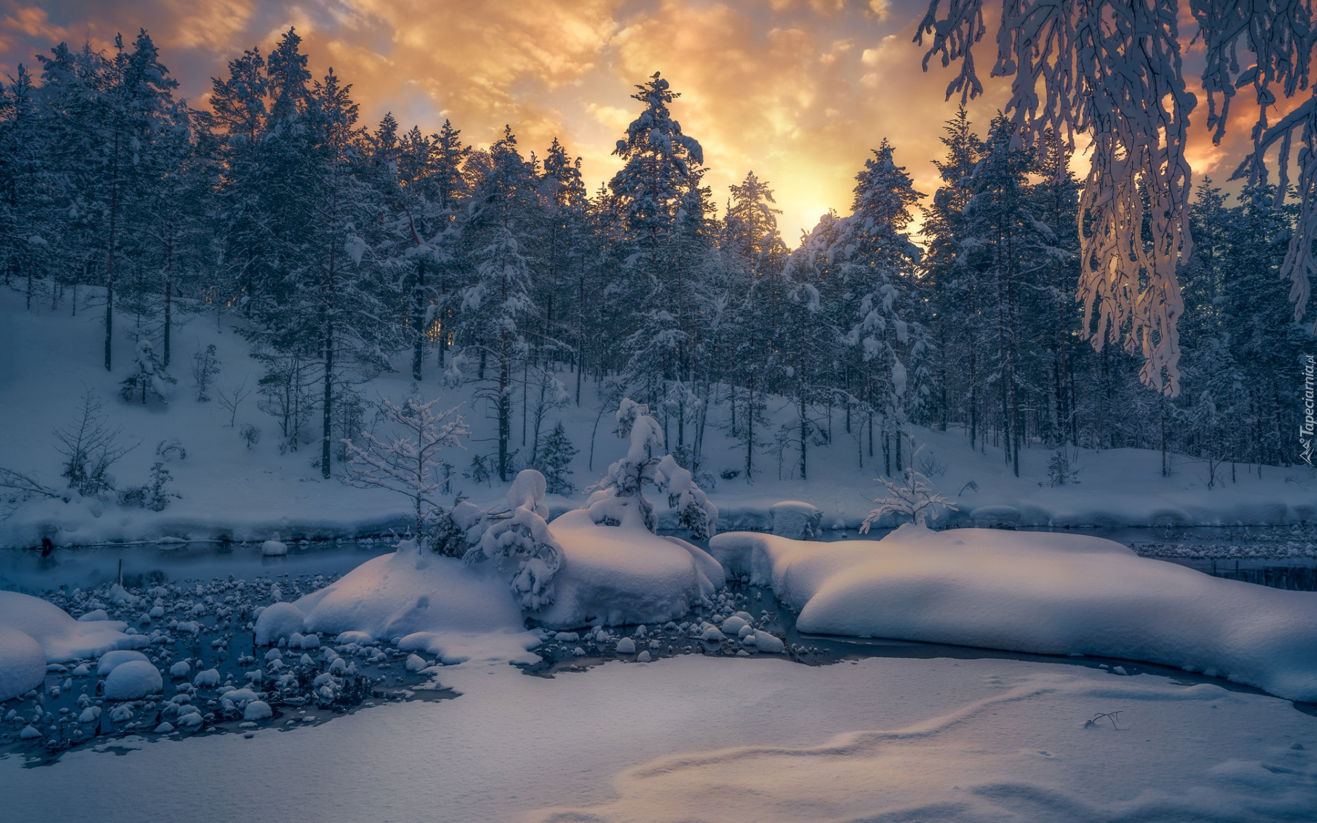 Zima, Las, Drzewa, Śnieg, Zachód słońca, Rzeka, Ośnieżone, Kamienie, Gmina, Ringerike, Norwegia