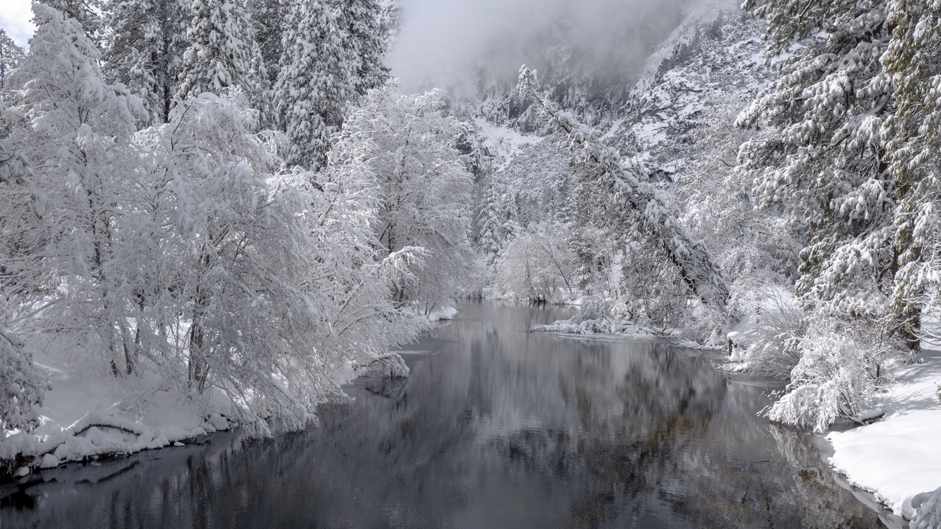 Rzeka, Drzewa, Śnieg, Zima, Mgła, Czarno-białe