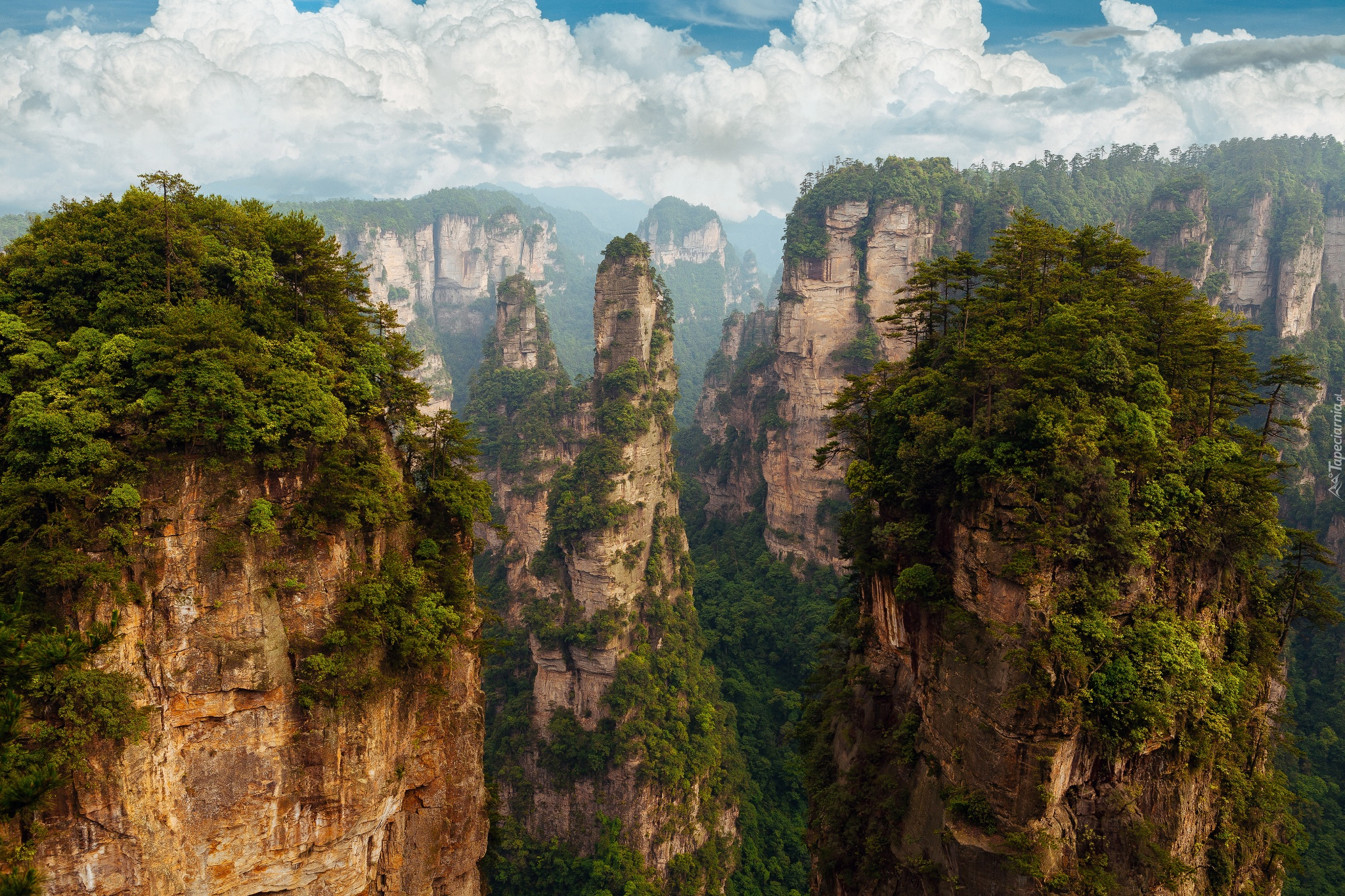 Chiny, Prowincja Hunan, Skały, Drzewa, Góry, Zhangjiajie National Forest Park