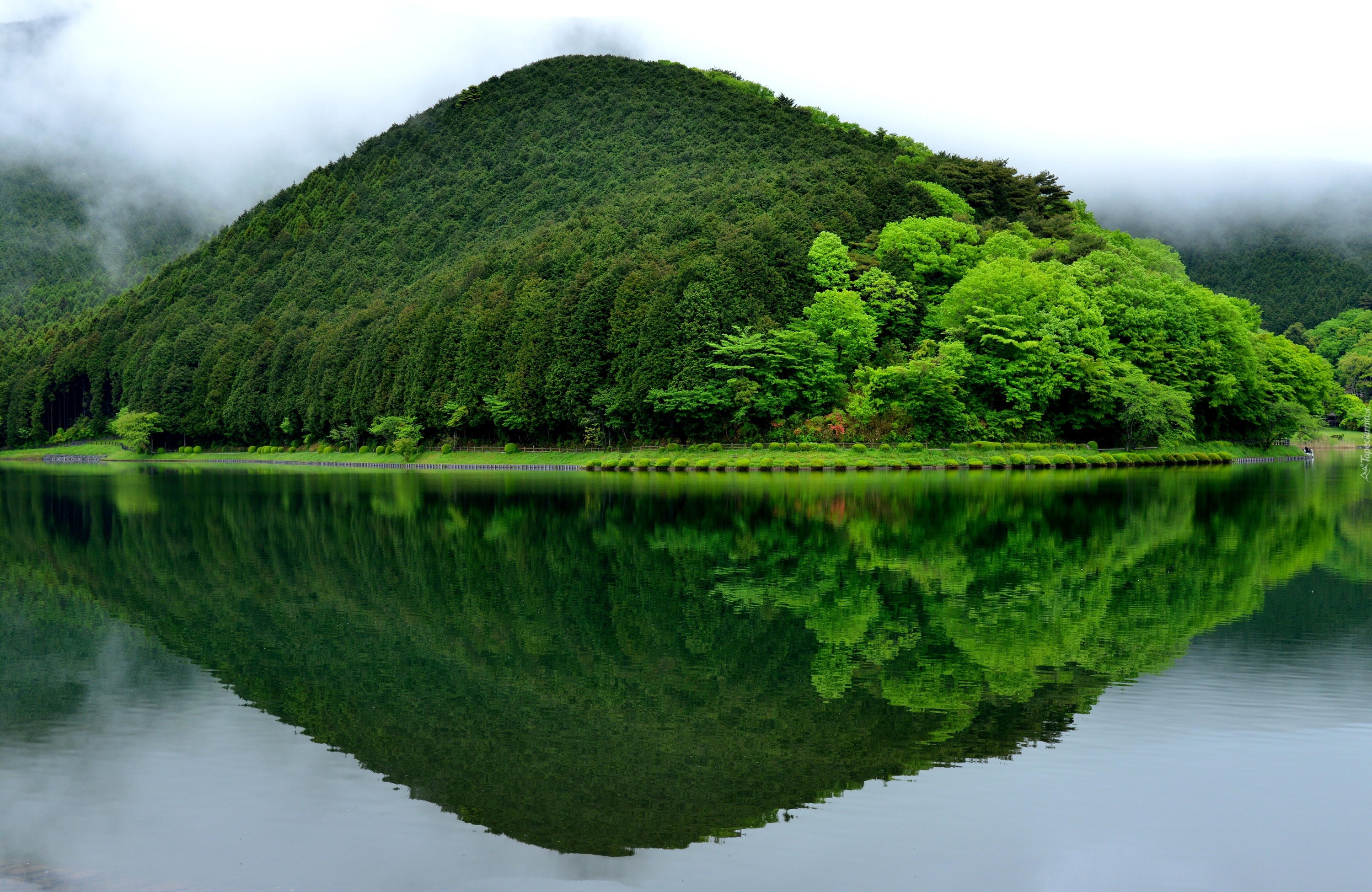 Jezioro, Góra, Zieleń, Odbicie, Japonia