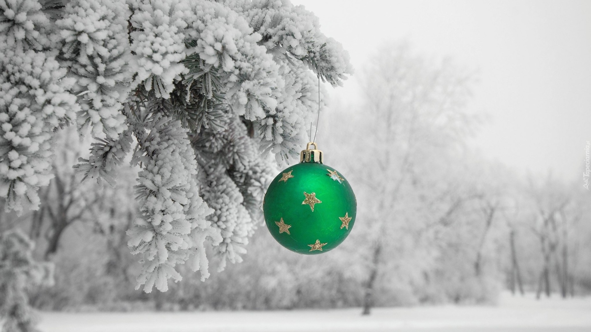 Drzewa, Śnieg, Zielona, Bombka, Boże Narodzenie