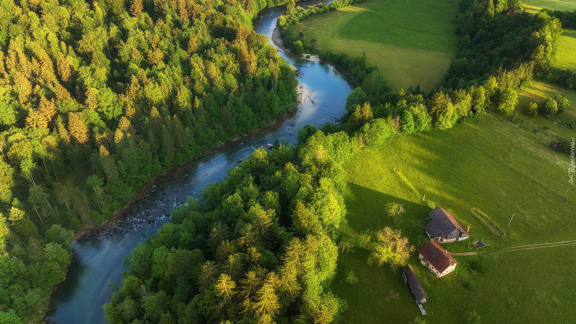Rzeka Sava, Zielone, Drzewa, Polana, Domy, Z lotu ptaka, Słowenia
