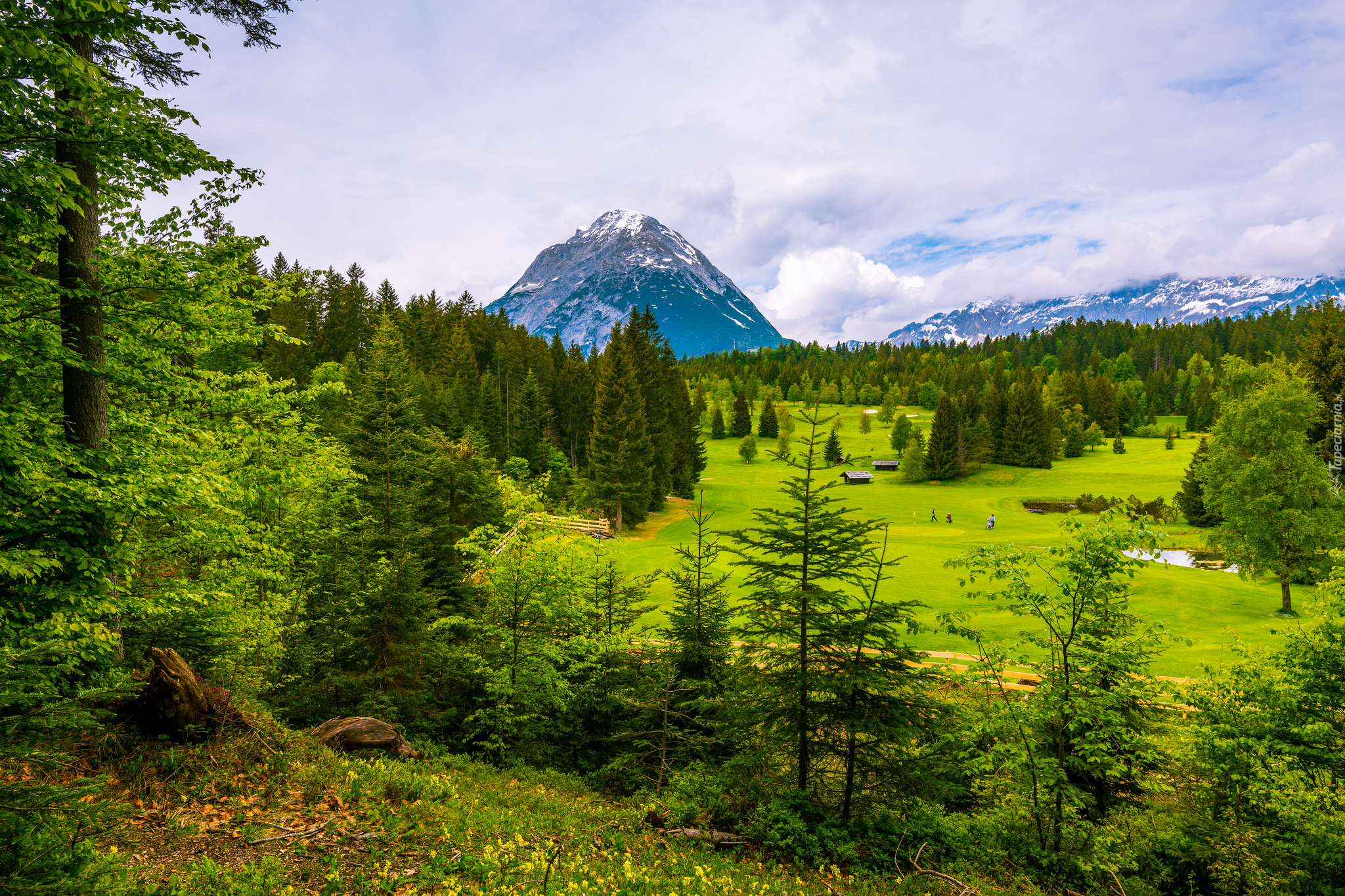 Austria, Tyrol, Gmina Telfs, Góry Alpy, Łąki, Lasy, Drzewa