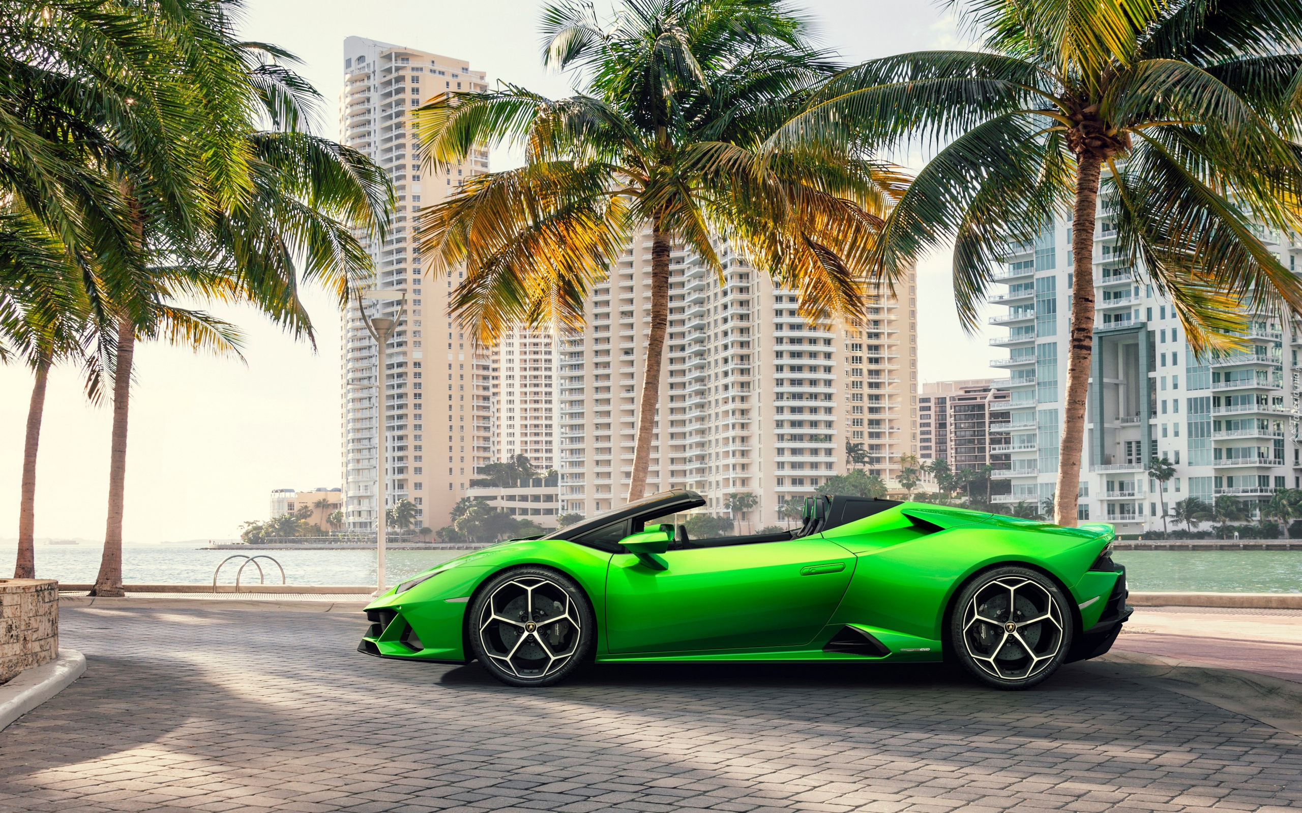 Zielone, Lamborghini Huracan, Palmy