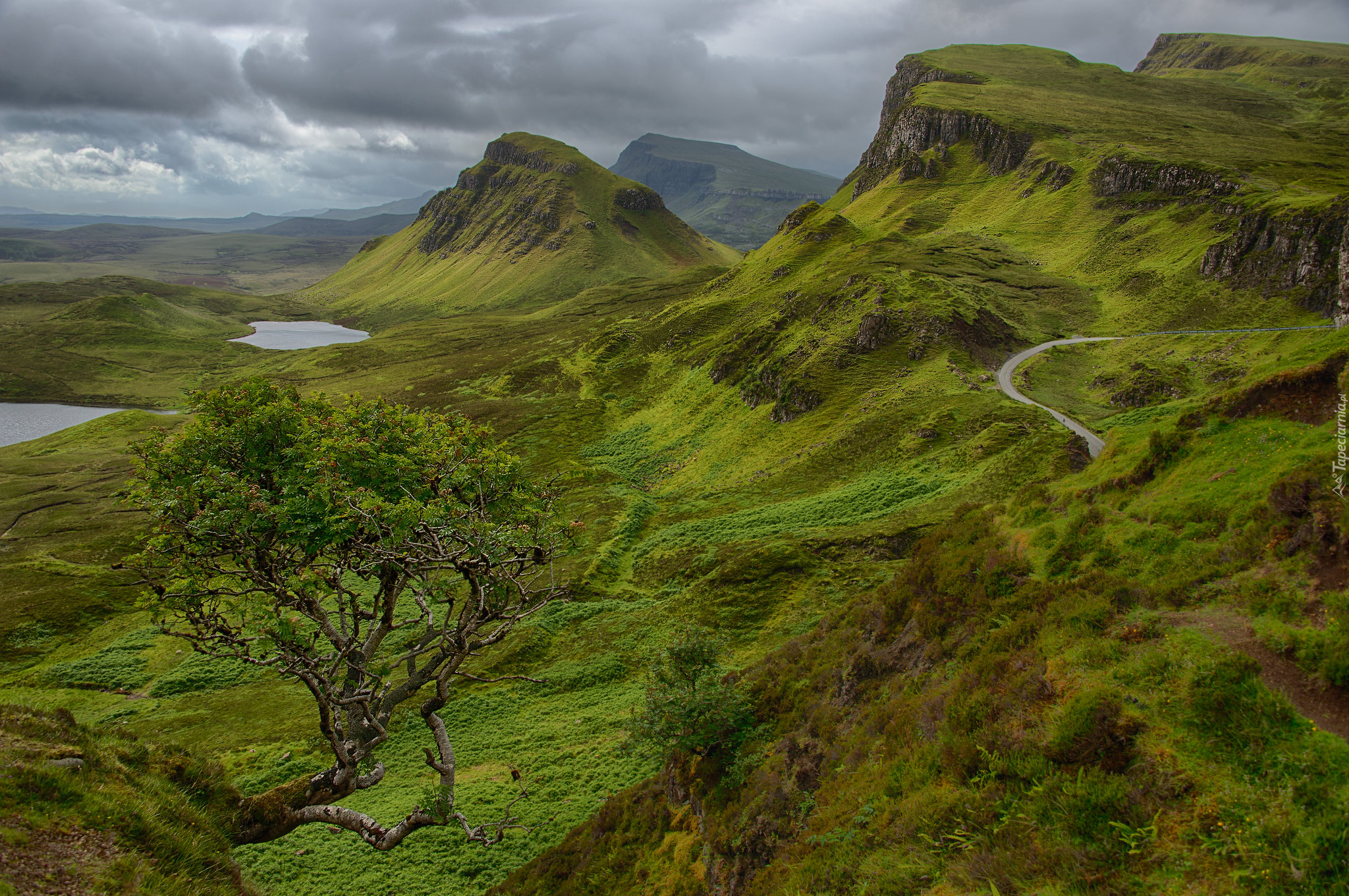 Wzgórza, Góry, Jeziora, Zielone, Drzewo, Chmury, Wyspa Skye, Osuwisko, Quiraing, Szkocja