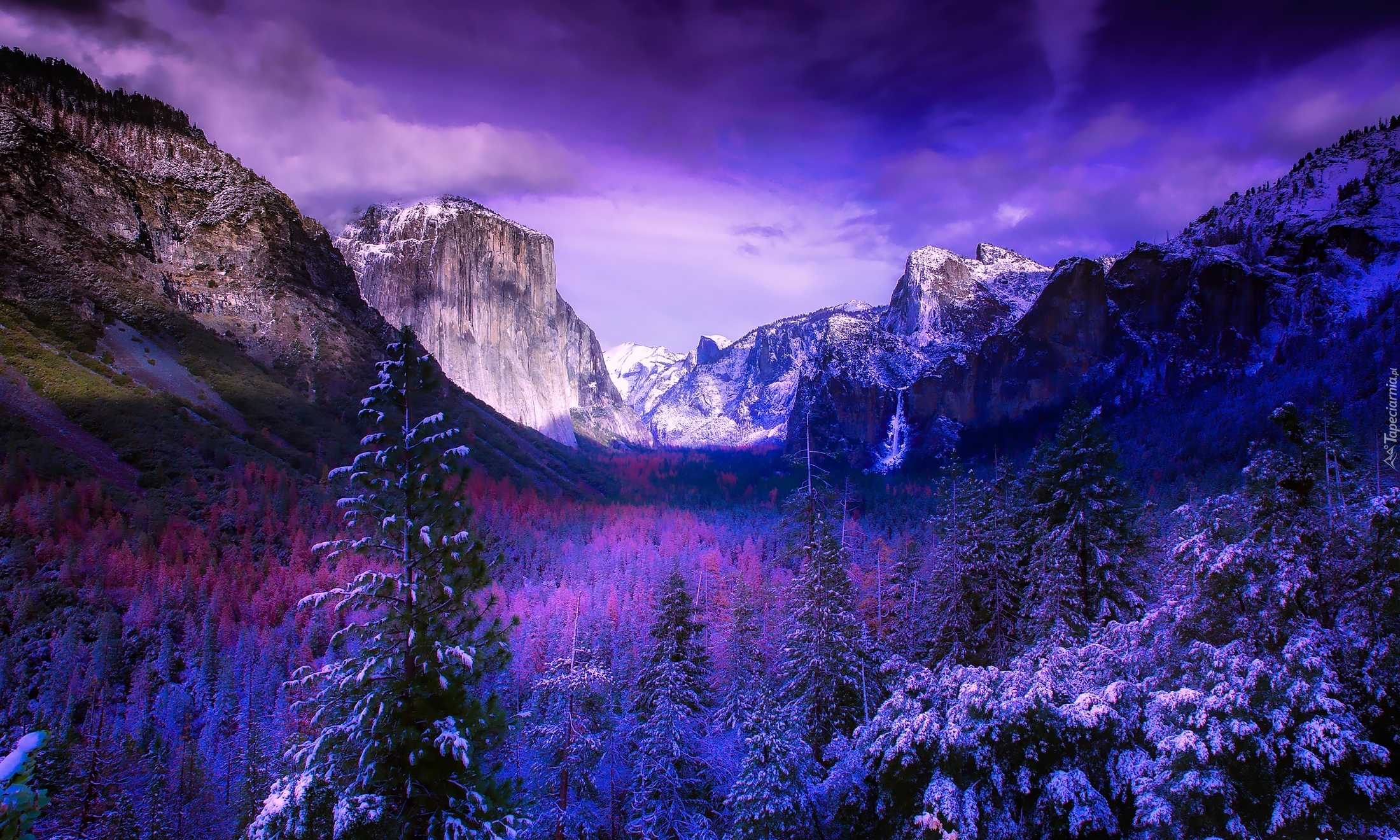 Zima, Park Narodowy Yosemite, Dolina Yosemite Valley, Góry, Chmury, Świerki, Las, Stan Kalifornia, Stany Zjednoczone