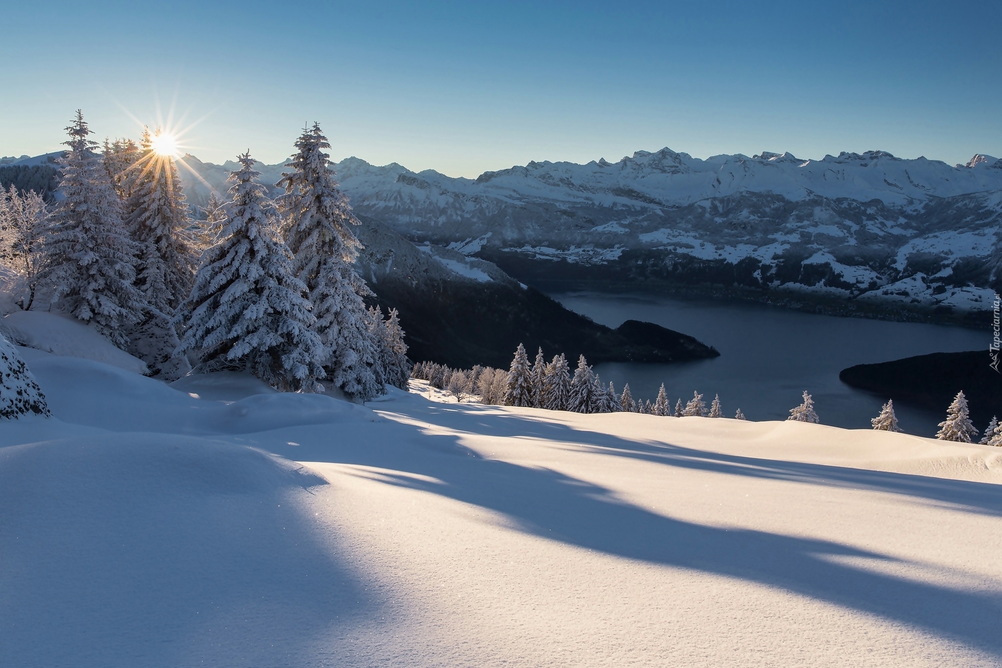 Szwajcaria, Zima, Góry, Alpy, Promienie słońca, Świerki