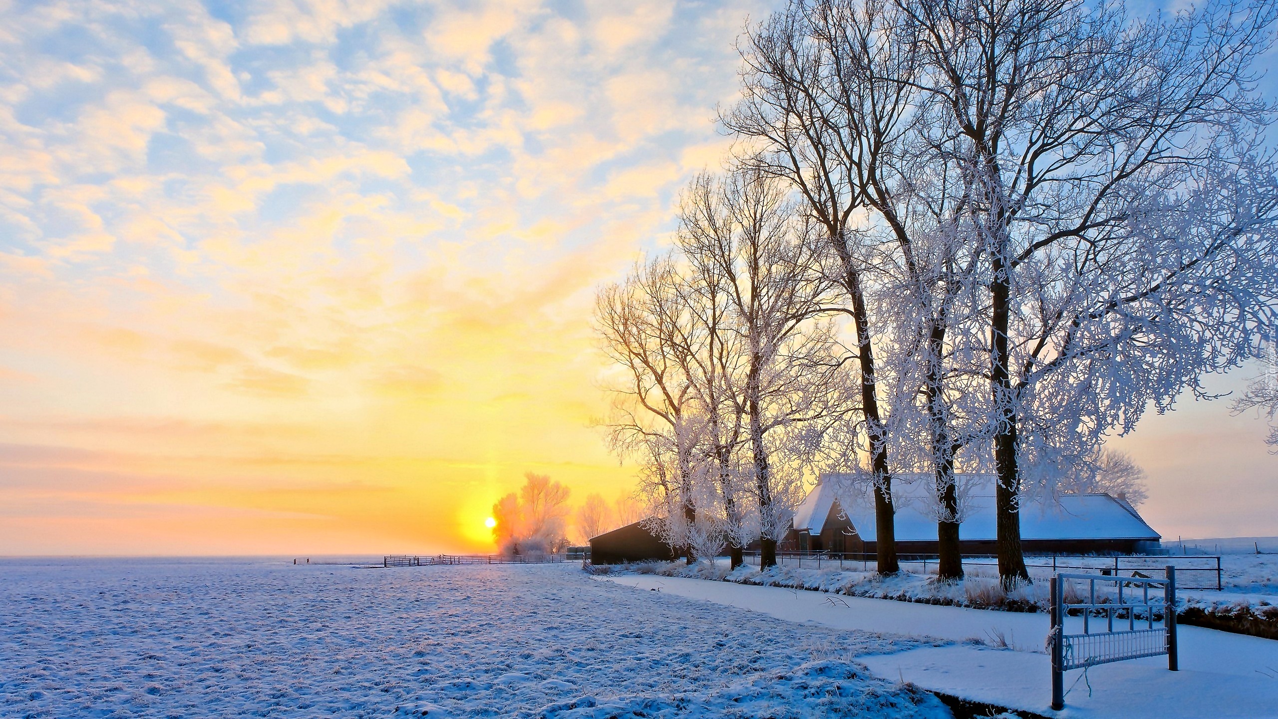 Zima, Wschód słońca, Pole, Drzewa