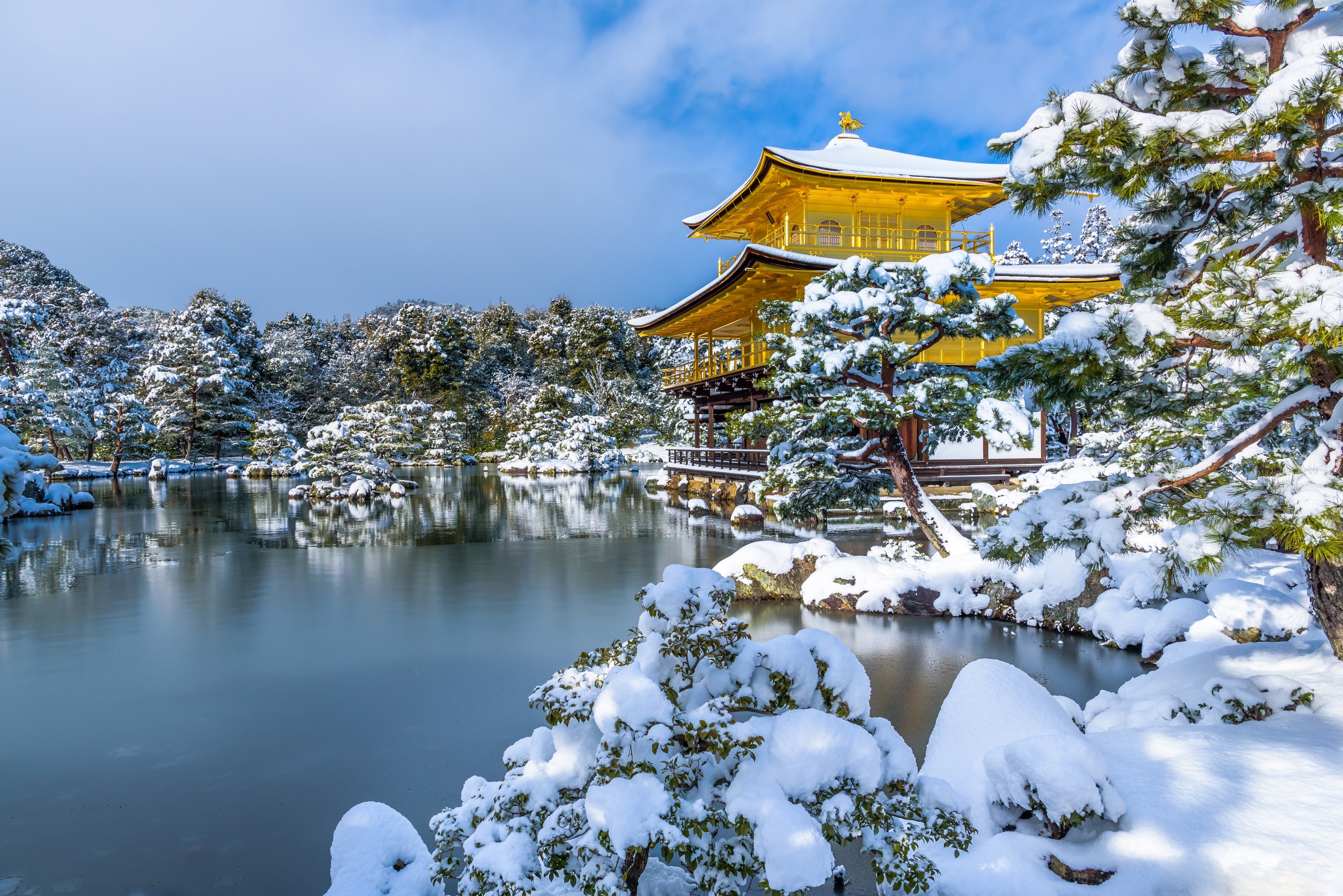 Japonia, Kioto, Ogród Kyōko-chi Pond, Staw Kyōko-chi, Złoty Pawilon, Świątynia buddyjska, Drzewa, Śnieg