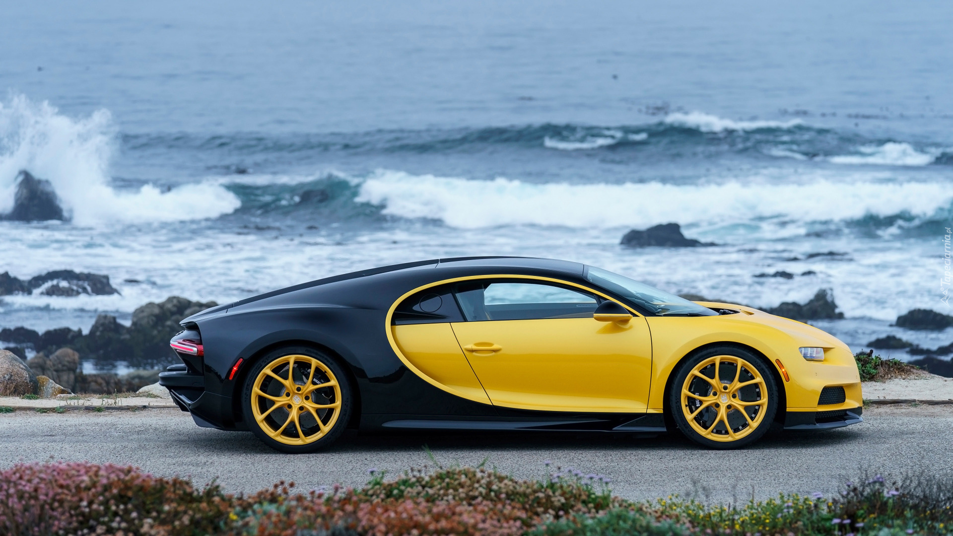 Wybrzeże, Bugatti Chiron, Żółto-czarny
