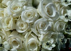 Bukiet, Białych, Róż