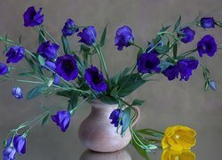 Niebieskie, Kwiaty, Żółty, Tulipan