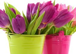 Bukiety, Tulipanów, Kolorowe, Wiaderka