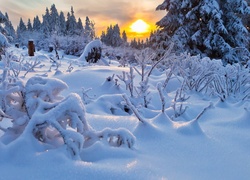 Śnieg, Słońce, Zima
