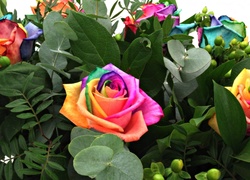 Kwiaty, Bukiet, Róże, Kolory, Tęczy