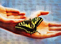 Dłonie, Motyl, Obraz, Olejny